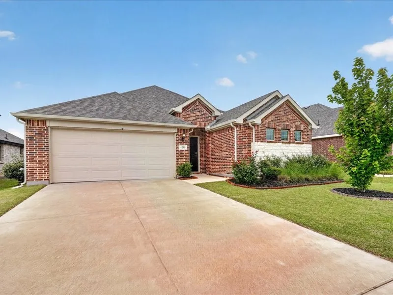 Brick and stone facade residence featuring an attached garage, a concrete driveway, and landscaped front yard with a young tree