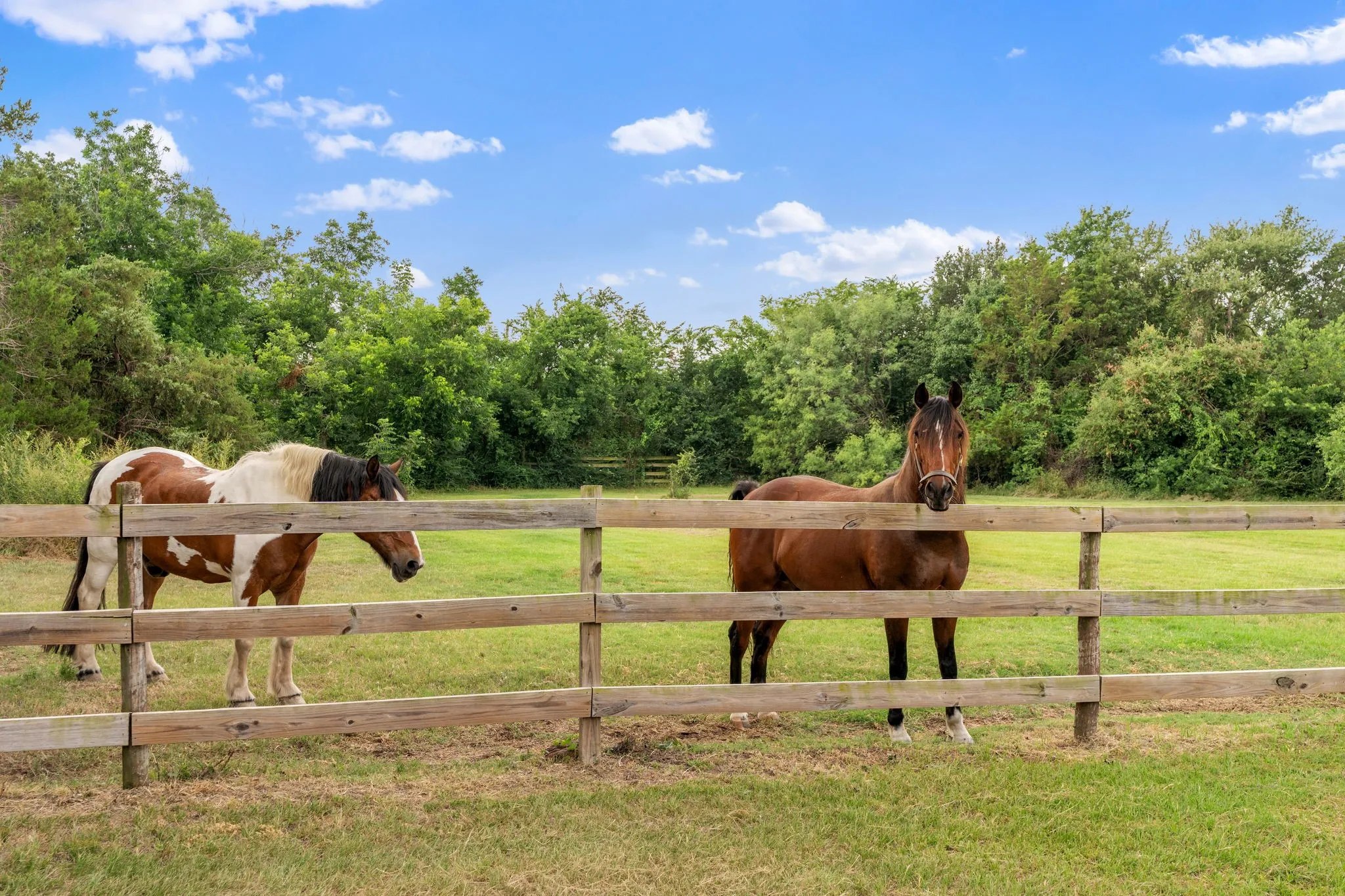Single Family Residence For Sale in Denton County , 2530 Church Drive, Corinth, Texas 76210, 4 Bedrooms, 4 Bathrooms, 3 Garage spaces, 3,486 Sqft, built in 1995, Price $2,290,000, mls#21297897, Real Estate Agent in Corinth, Homes For Sale in Denton county, Homes For Sale in Corinth, Realtor in Corinth Texas, Real Estate Brokerage Independent Realty Texas, Luminita Cordes Realtor