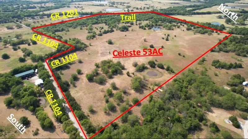 Expansive 53-acre parcel featuring varied topography, multiple ponds, and substantial tree coverage