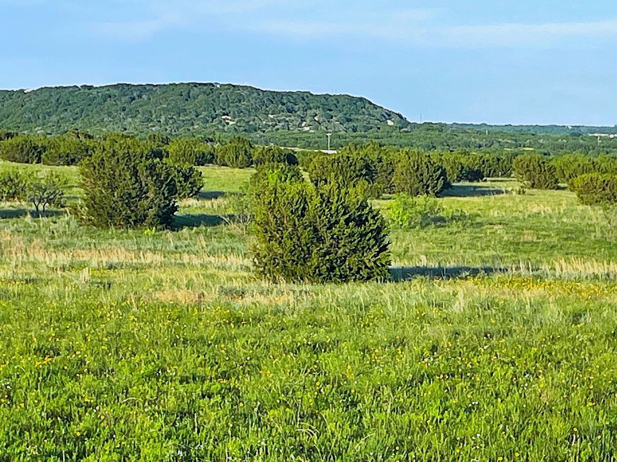 Expansive natural landscape featuring rolling terrain and distant hills