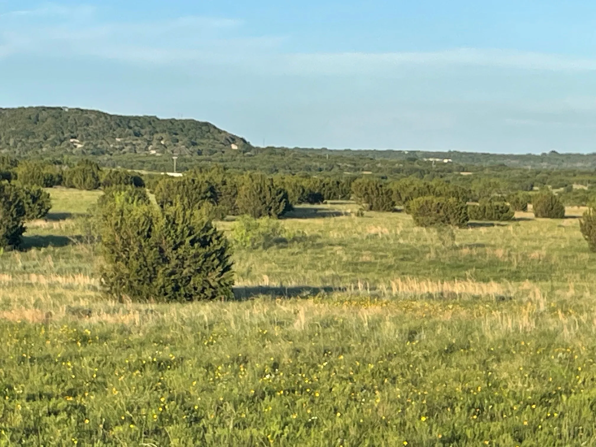 Expansive natural landscape featuring rolling hills and abundant shrubbery