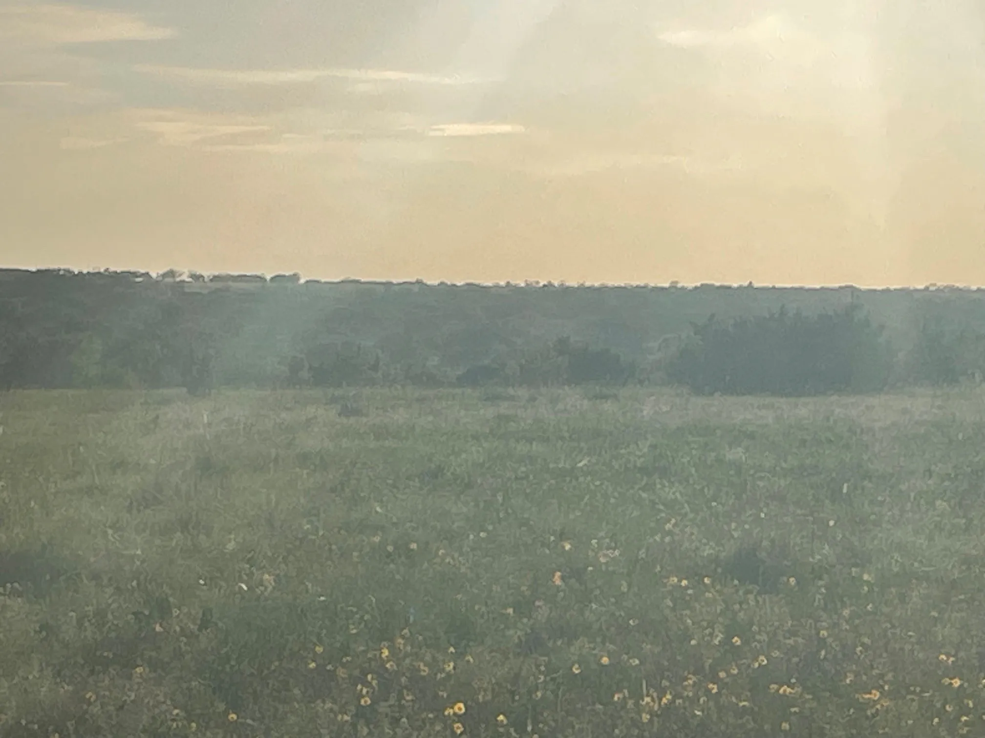 Improved Land For Sale in Hamilton County , 200 PR 16028 Road, Hamilton, Texas 76531, 0, 0, Garage spaces, 0 Sqft, built in 0, Price $150,000, mls#21301617, Real Estate Agent in Hamilton, Homes For Sale in Hamilton county, Homes For Sale in Hamilton, Realtor in Hamilton Texas, Real Estate Brokerage Independent Realty Texas, Luminita Cordes Realtor