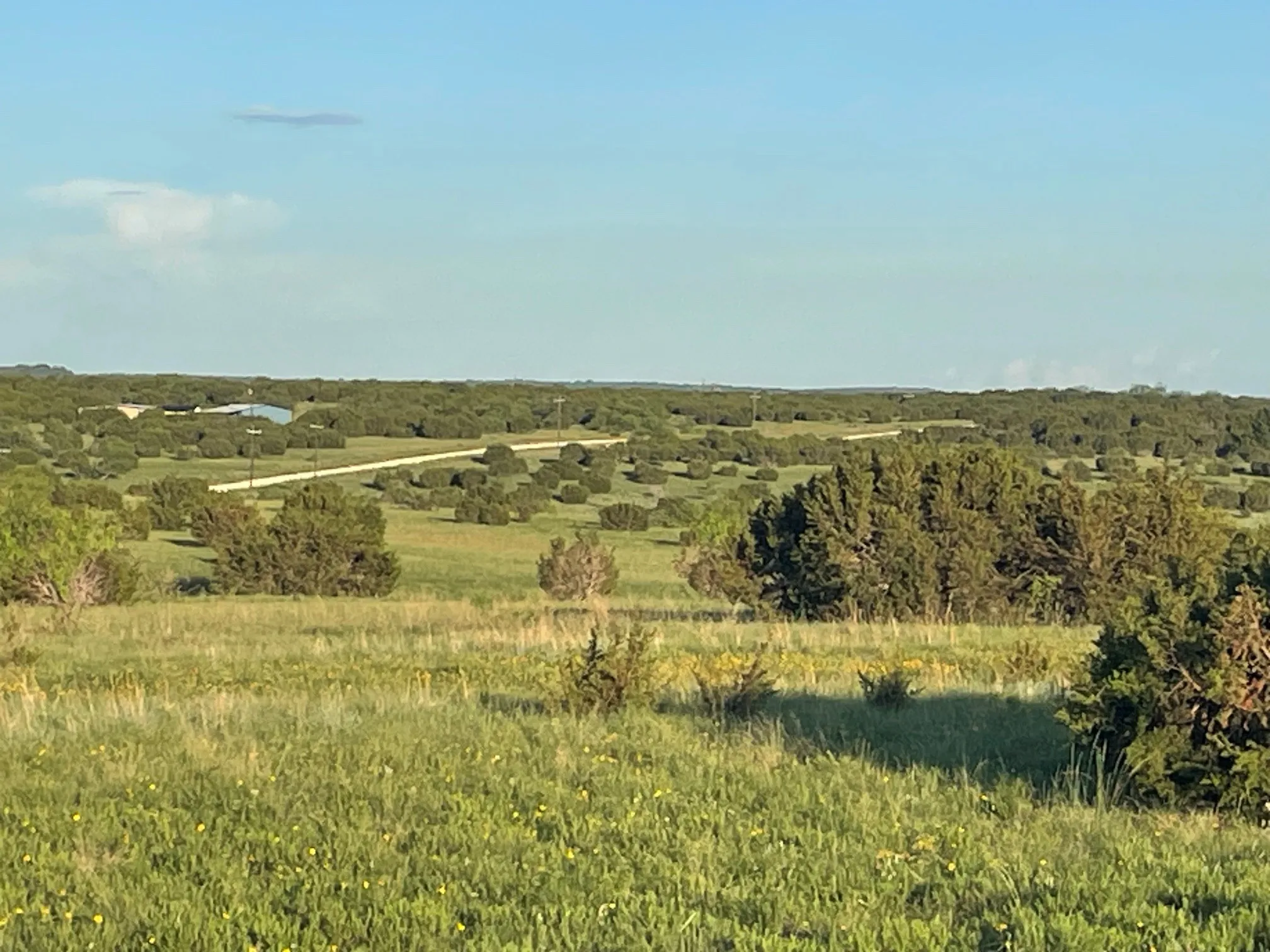Improved Land For Sale in Hamilton County , 200 PR 16028 Road, Hamilton, Texas 76531, 0, 0, Garage spaces, 0 Sqft, built in 0, Price $150,000, mls#21301617, Real Estate Agent in Hamilton, Homes For Sale in Hamilton county, Homes For Sale in Hamilton, Realtor in Hamilton Texas, Real Estate Brokerage Independent Realty Texas, Luminita Cordes Realtor
