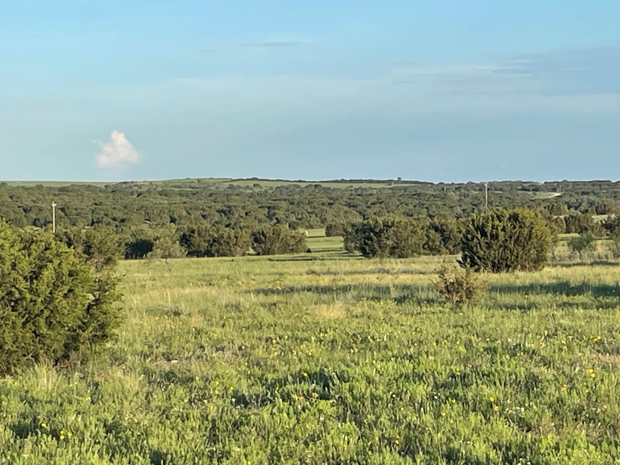Improved Land For Sale in Hamilton County , 200 PR 16028 Road, Hamilton, Texas 76531, 0, 0, Garage spaces, 0 Sqft, built in 0, Price $150,000, mls#21301617, Real Estate Agent in Hamilton, Homes For Sale in Hamilton county, Homes For Sale in Hamilton, Realtor in Hamilton Texas, Real Estate Brokerage Independent Realty Texas, Luminita Cordes Realtor