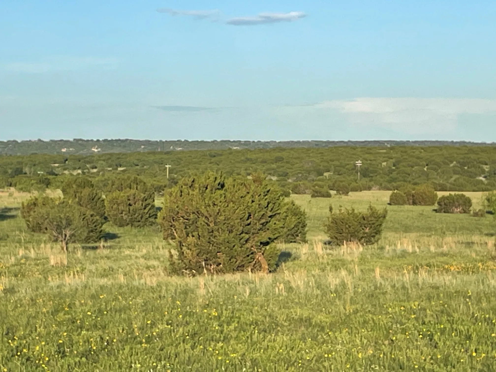 Improved Land For Sale in Hamilton County , 200 PR 16028 Road, Hamilton, Texas 76531, 0, 0, Garage spaces, 0 Sqft, built in 0, Price $150,000, mls#21301617, Real Estate Agent in Hamilton, Homes For Sale in Hamilton county, Homes For Sale in Hamilton, Realtor in Hamilton Texas, Real Estate Brokerage Independent Realty Texas, Luminita Cordes Realtor