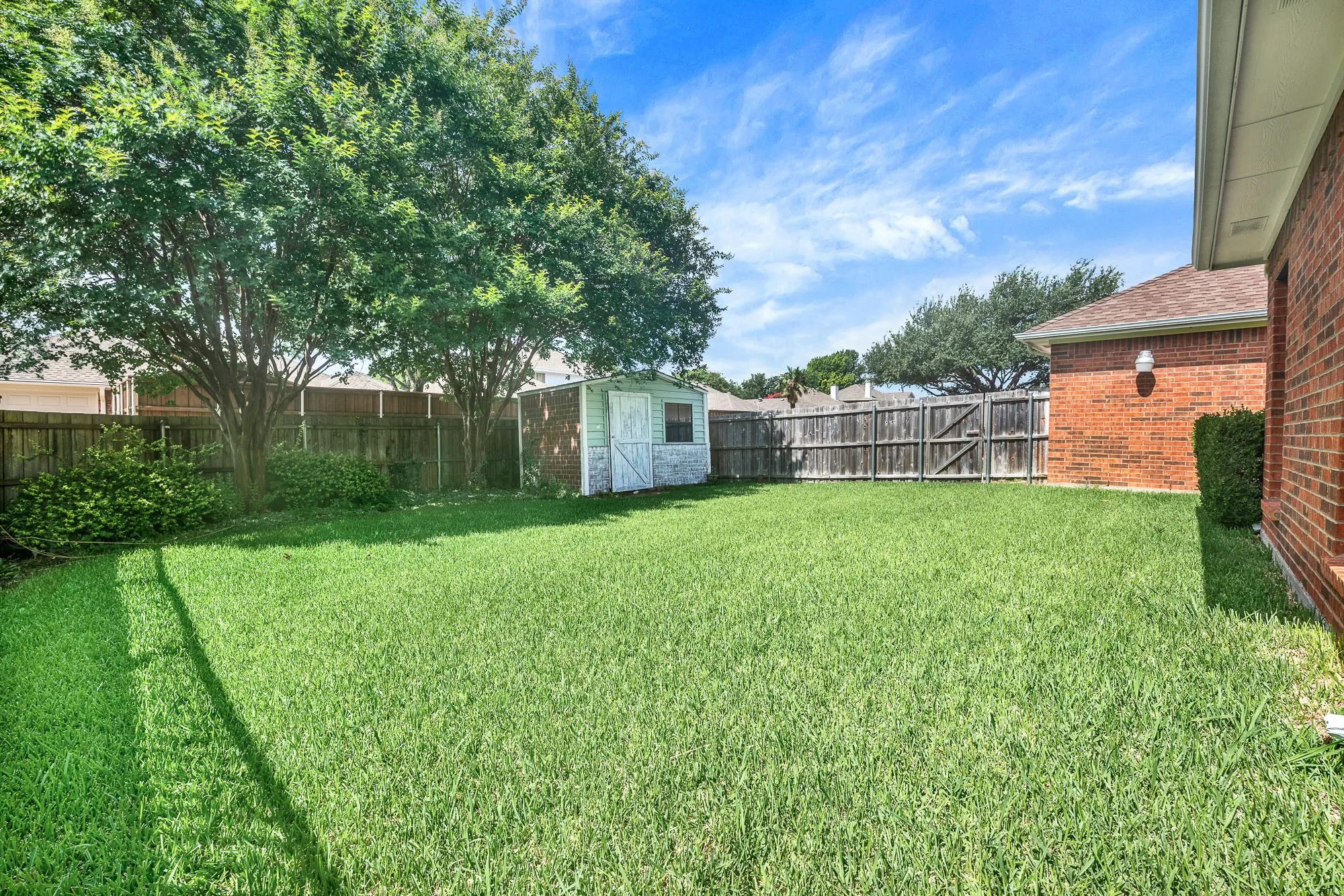 Big Beautiful Backyard.