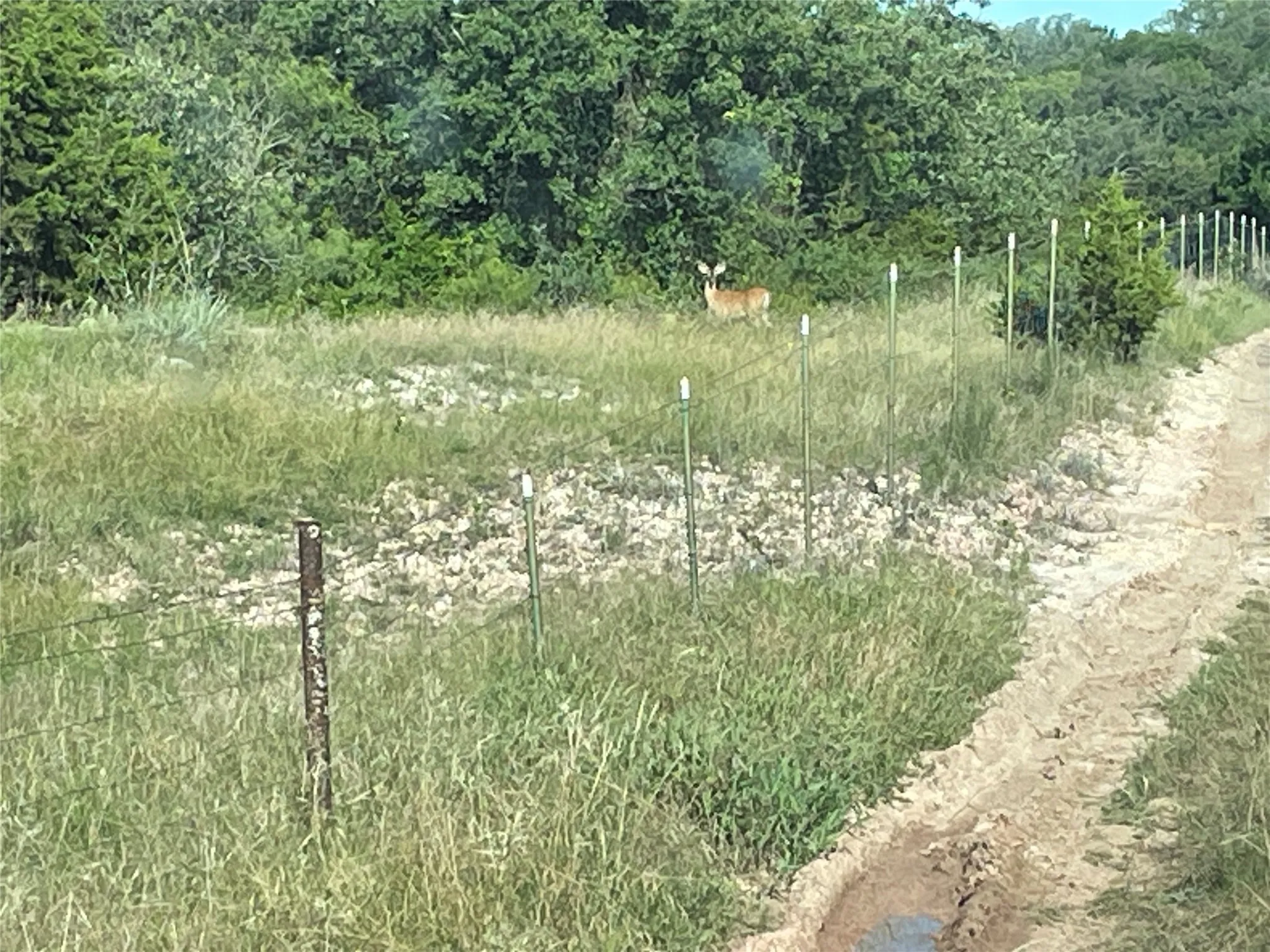 Improved Land For Sale in Eastland County , TBD Pecan Shell Road, Desdemona, Texas 76445, 0, 0, Garage spaces, 0 Sqft, built in 0, mls#21301872, Real Estate Agent in Desdemona, Homes For Sale in Eastland county, Homes For Sale in Desdemona, Realtor in Desdemona Texas, Real Estate Brokerage Independent Realty Texas, Luminita Cordes Realtor