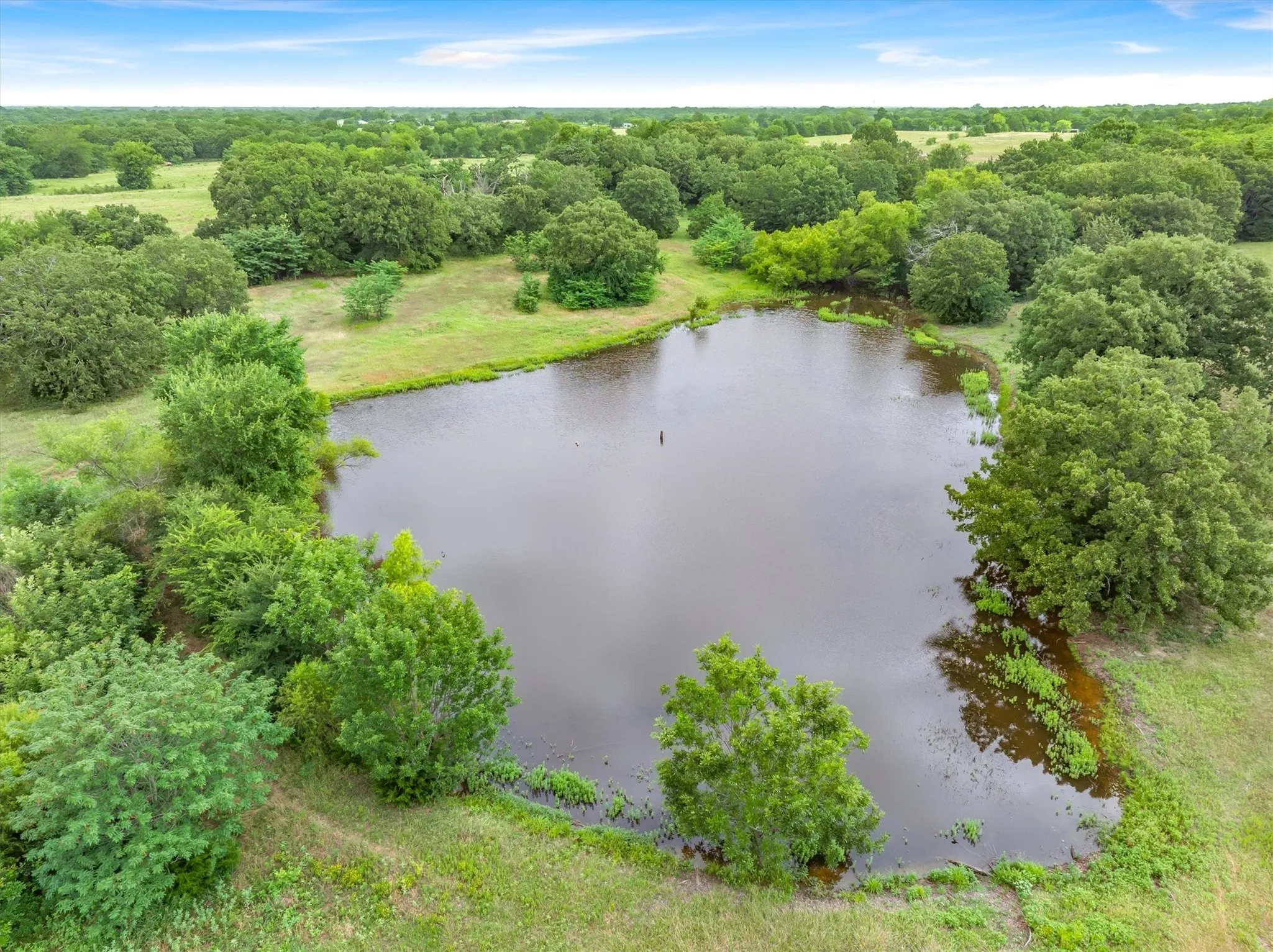 Expansive pond surrounded by mature trees and lush green landscaping