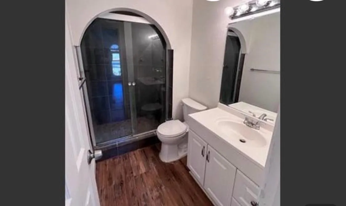 Bathroom featuring a glass-enclosed shower with an arched opening, a white vanity with integrated sink, wood-finish flooring, a wall-mounted mirror, and a chrome light fixture
