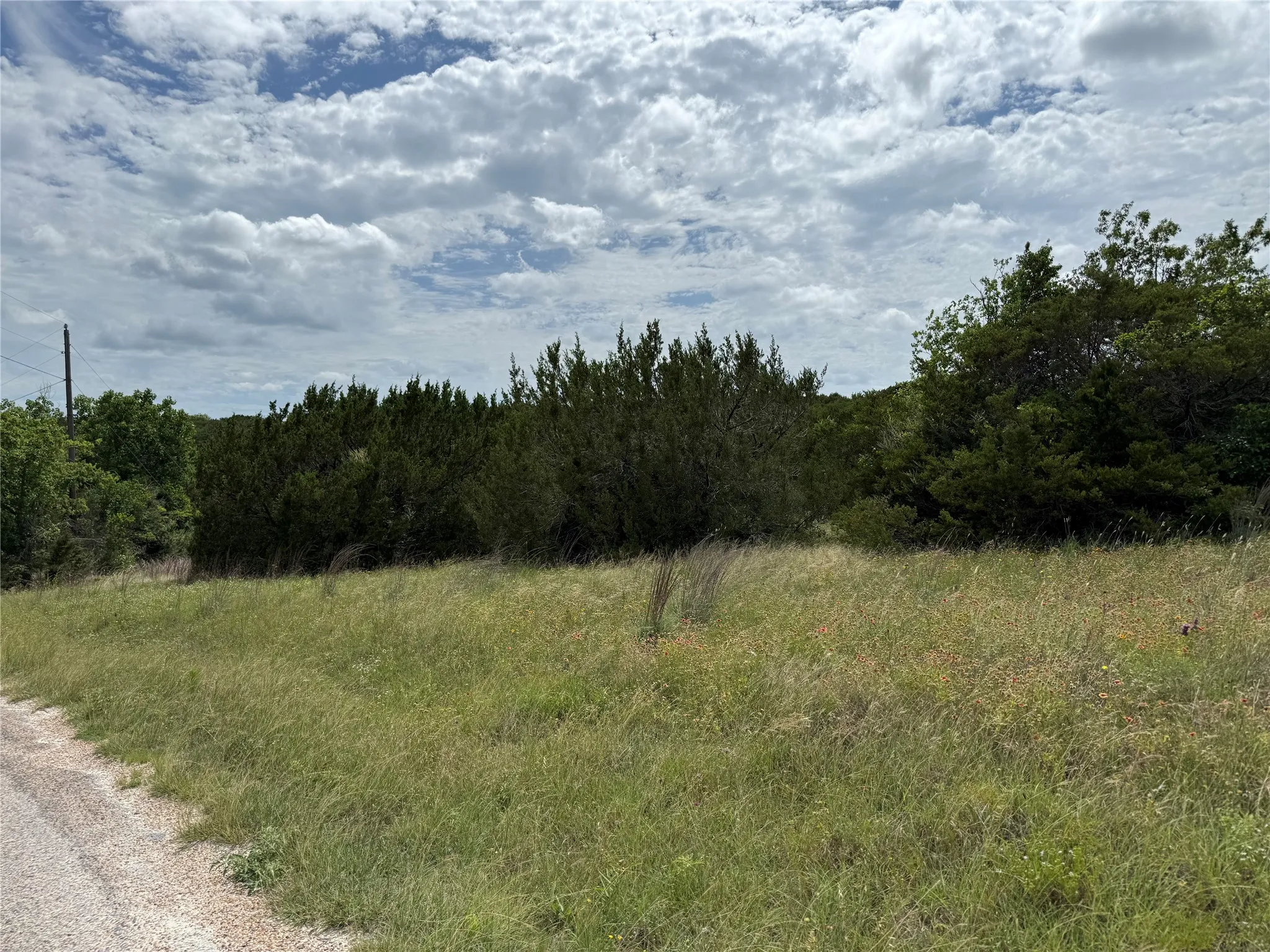 Expansive undeveloped lot featuring natural grass and mature trees