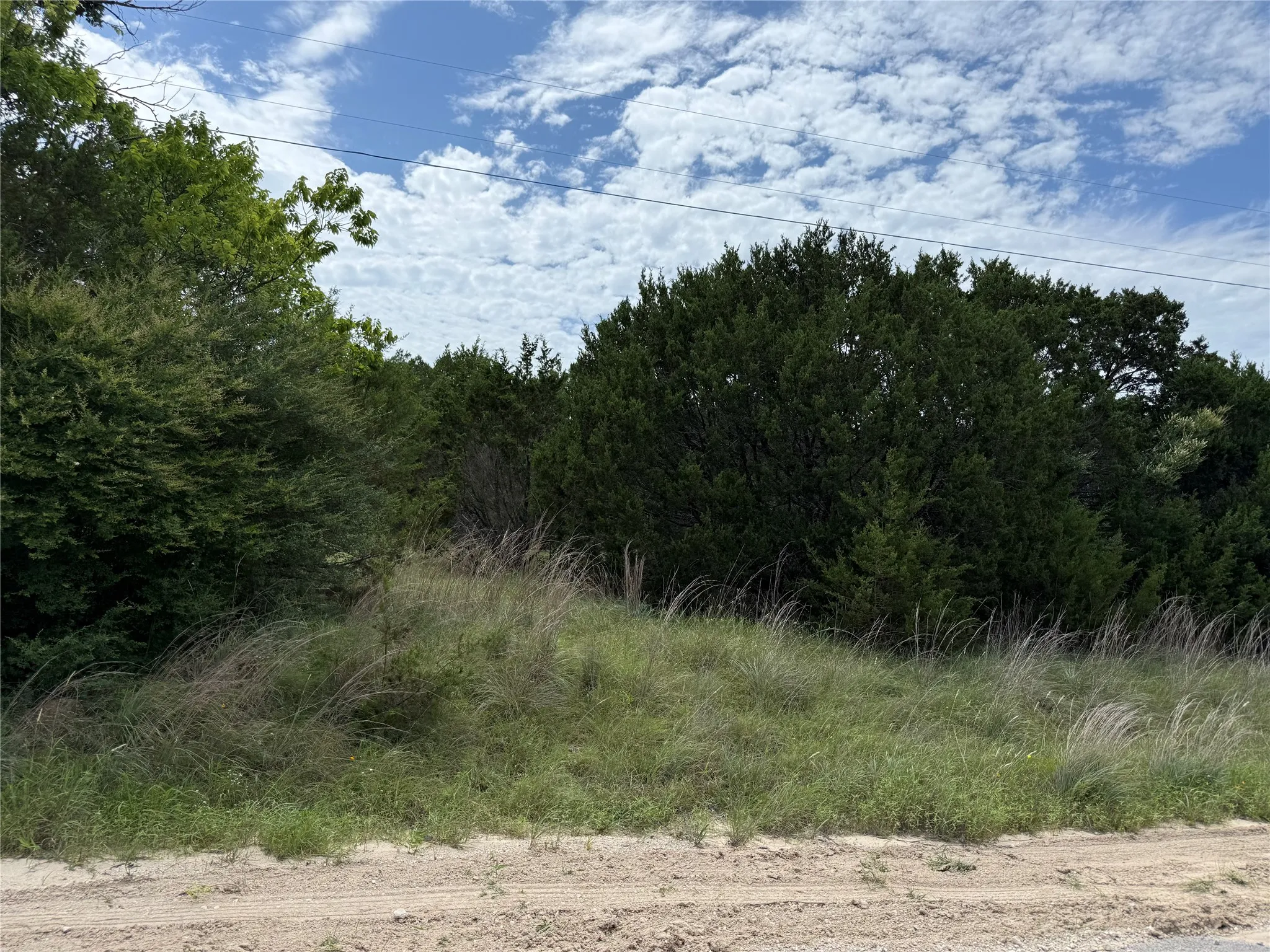 Expansive parcel featuring mature trees, natural vegetation, and a clear sky backdrop
