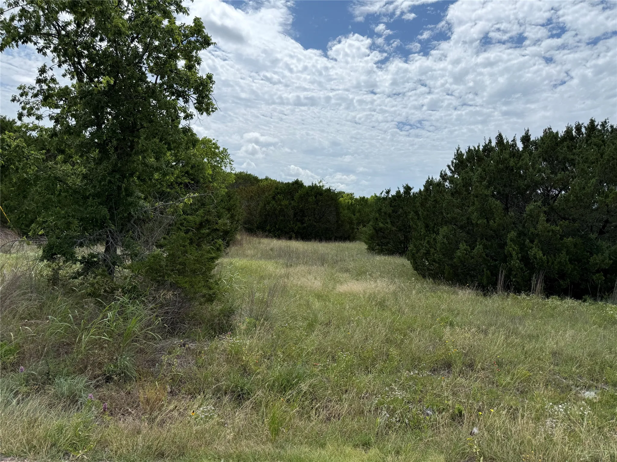Expansive undeveloped land featuring natural grasses and scattered mature trees