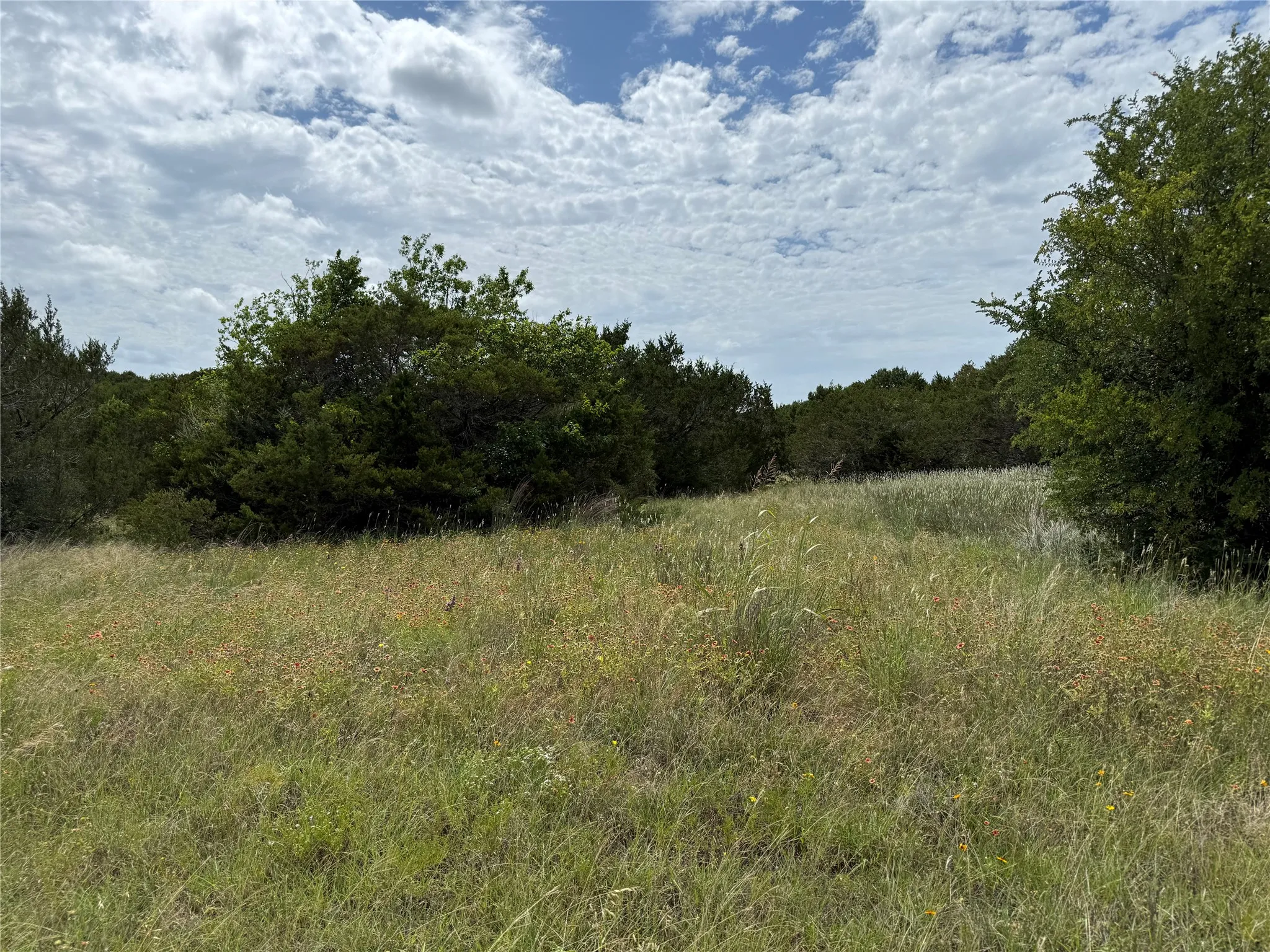 Expansive undeveloped lot with natural vegetation