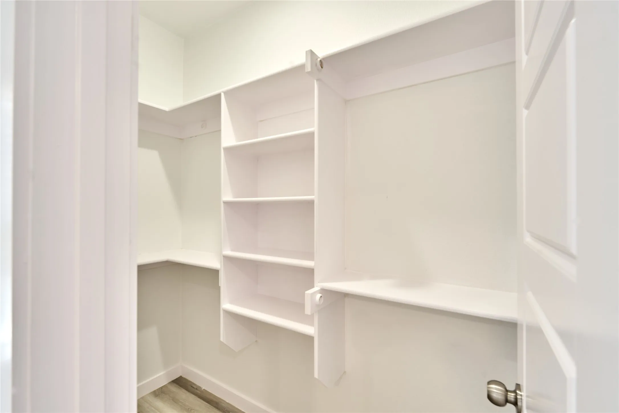 Closet featuring built-in shelving, white painted walls, and wood-finish flooring
