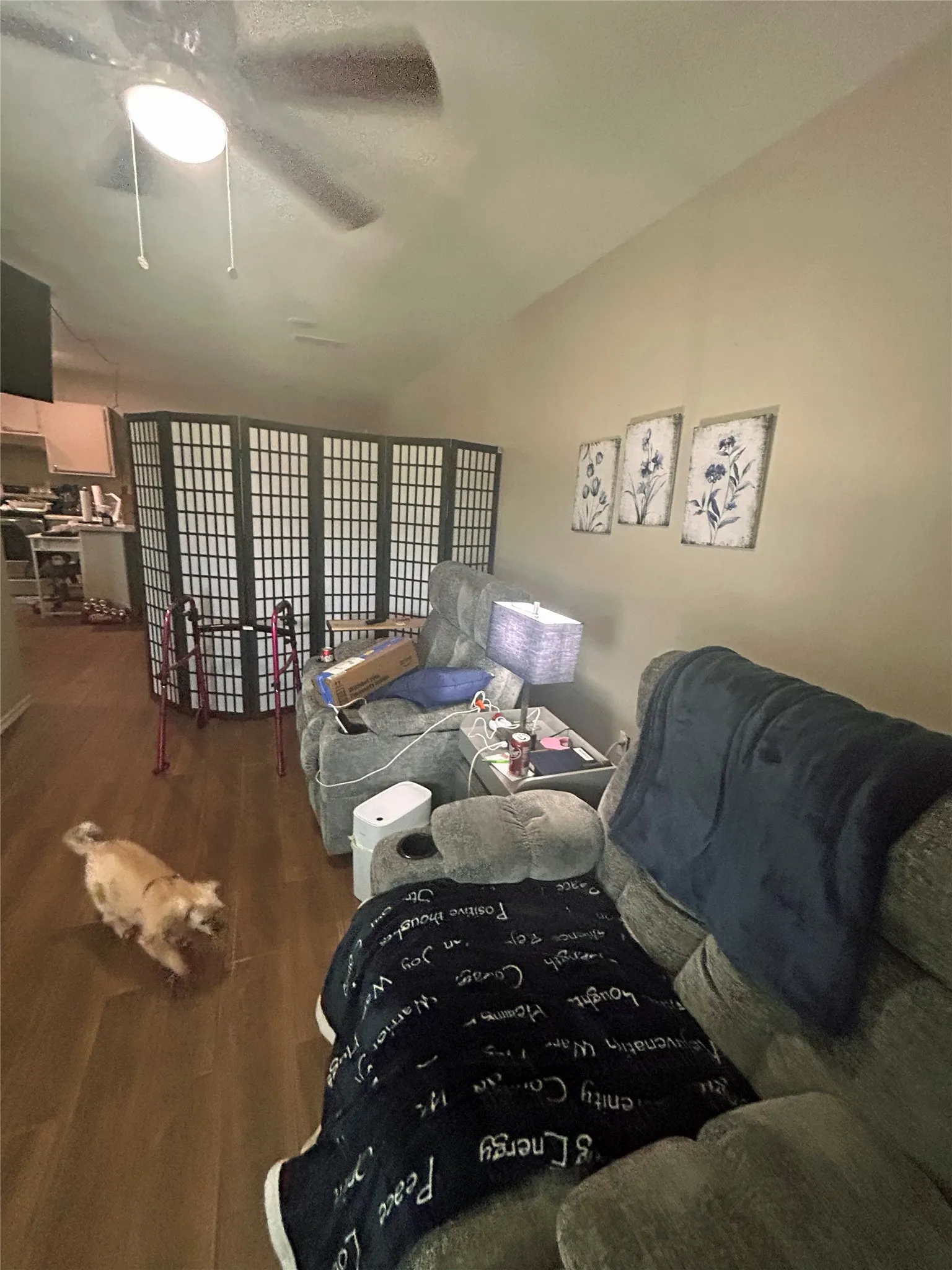 Garage Apartment
