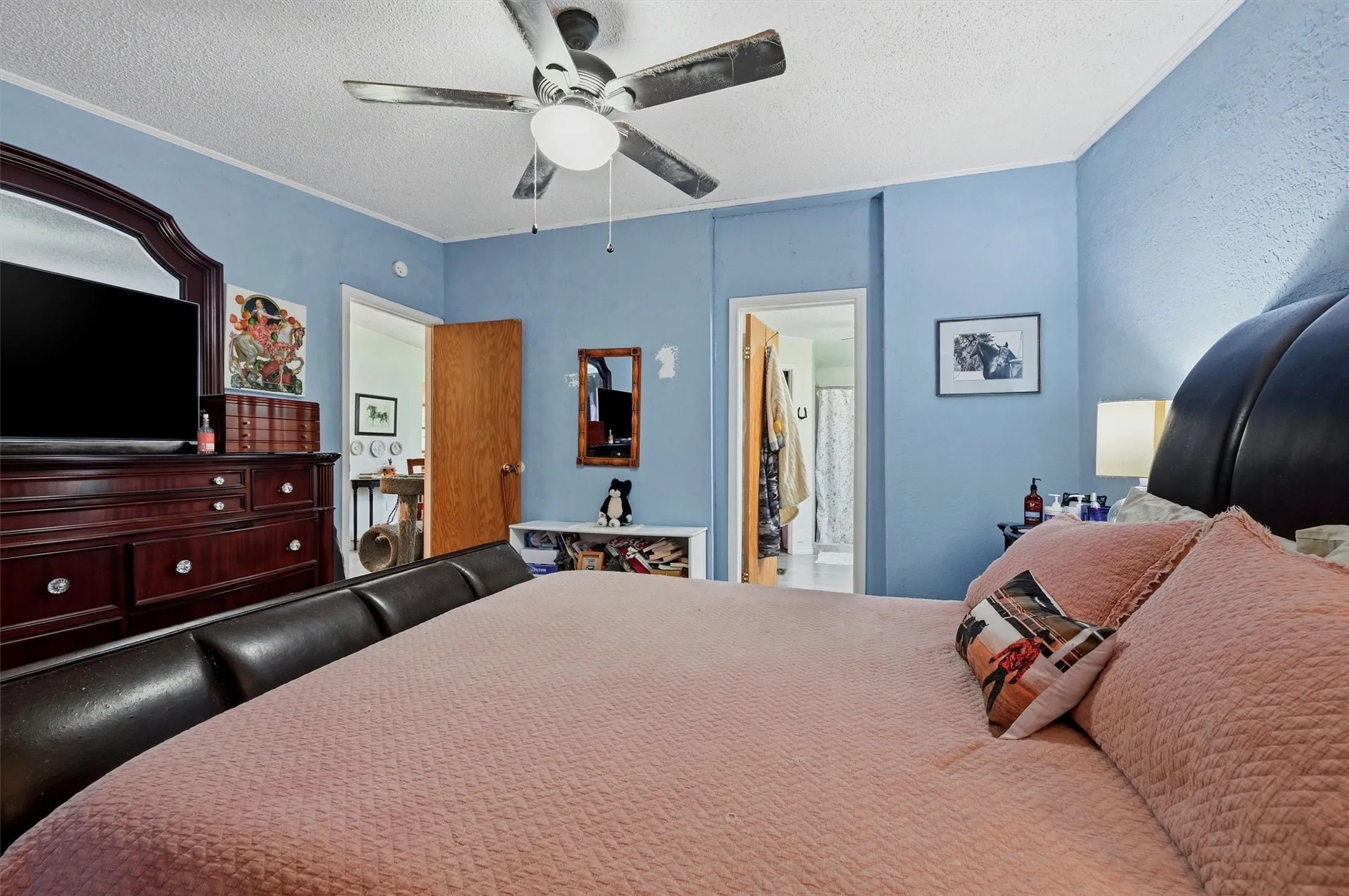 Interior space featuring a ceiling fan with integrated lighting, textured blue walls, and white crown molding