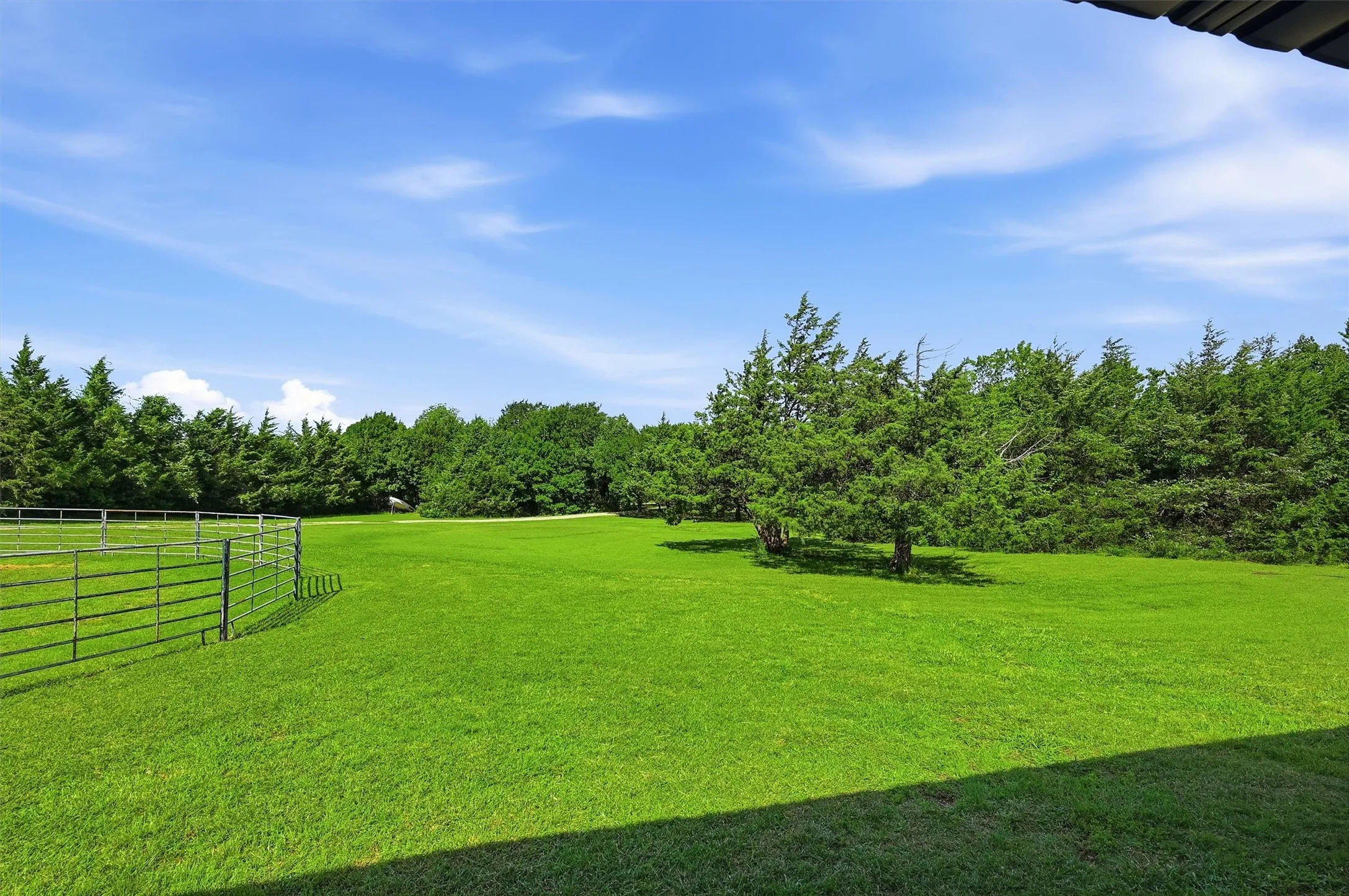 Expansive green lawn with mature evergreen trees and a metal rail fence