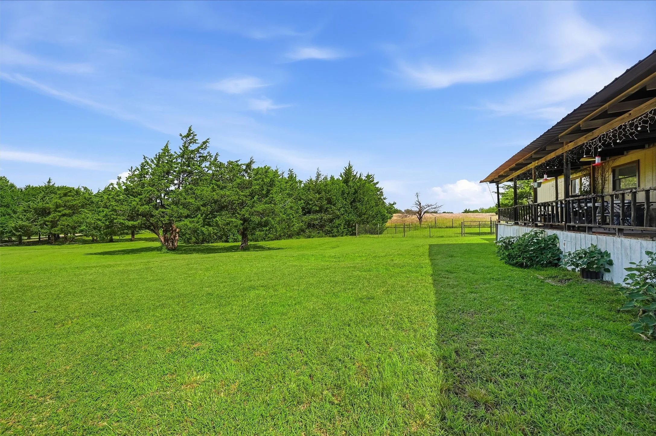Expansive green lawn with mature evergreen trees and a raised porch featuring a metal roof and dark railings