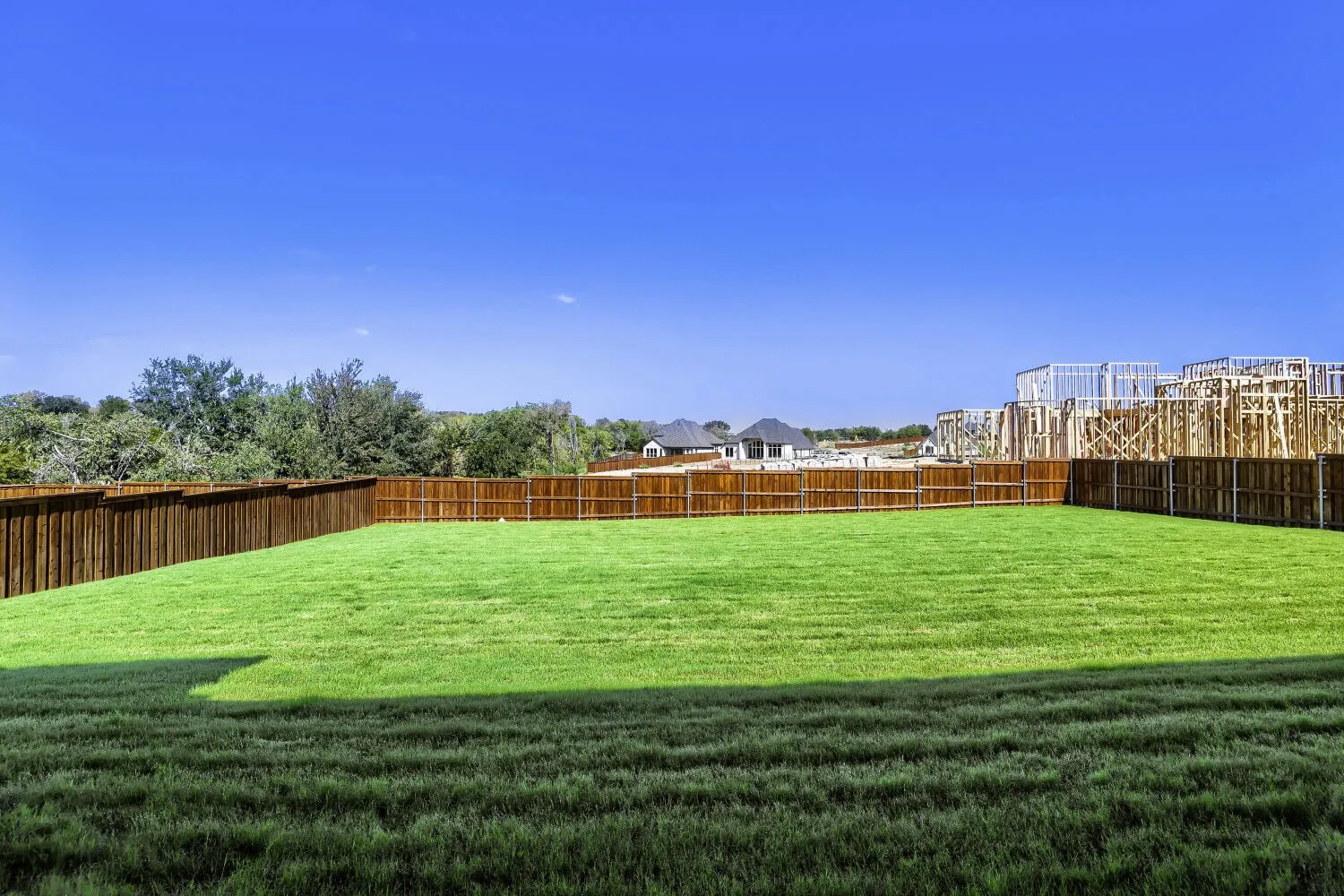 Expansive green lawn with a wood privacy fence