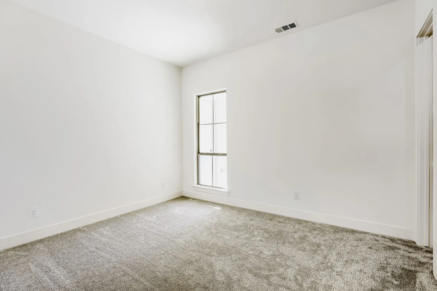 Textured carpeting, white walls, and a window with vertical mullions