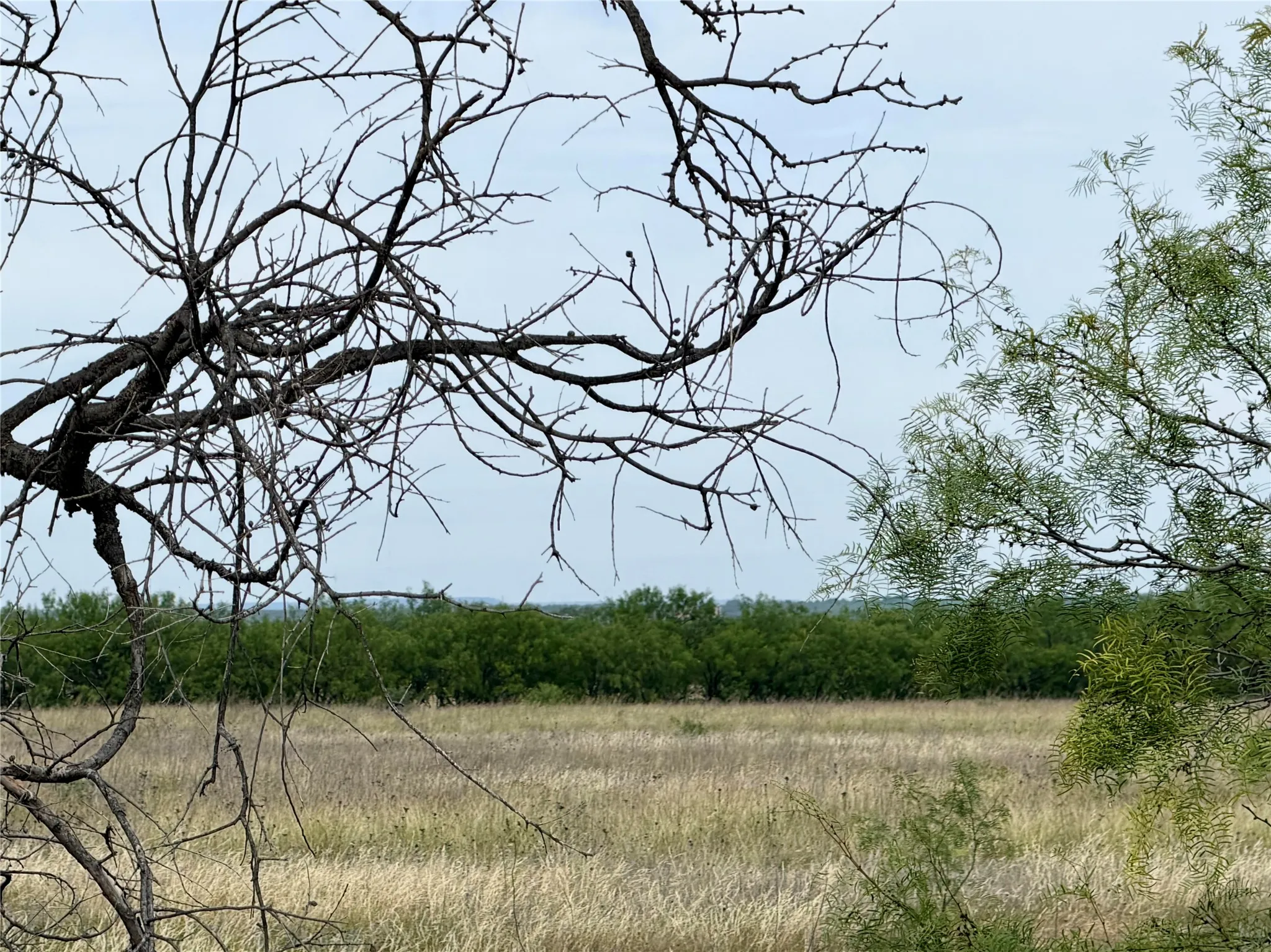 Unimproved Land For Sale in Taylor County , TBD Hwy 277 S, Abilene, Texas 79606, 0, 0, Garage spaces, 0 Sqft, built in 0, Price $353,130, mls#21290884, Real Estate Agent in Abilene, Homes For Sale in Taylor county, Homes For Sale in Abilene, Realtor in Abilene Texas, Real Estate Brokerage Independent Realty Texas, Luminita Cordes Realtor