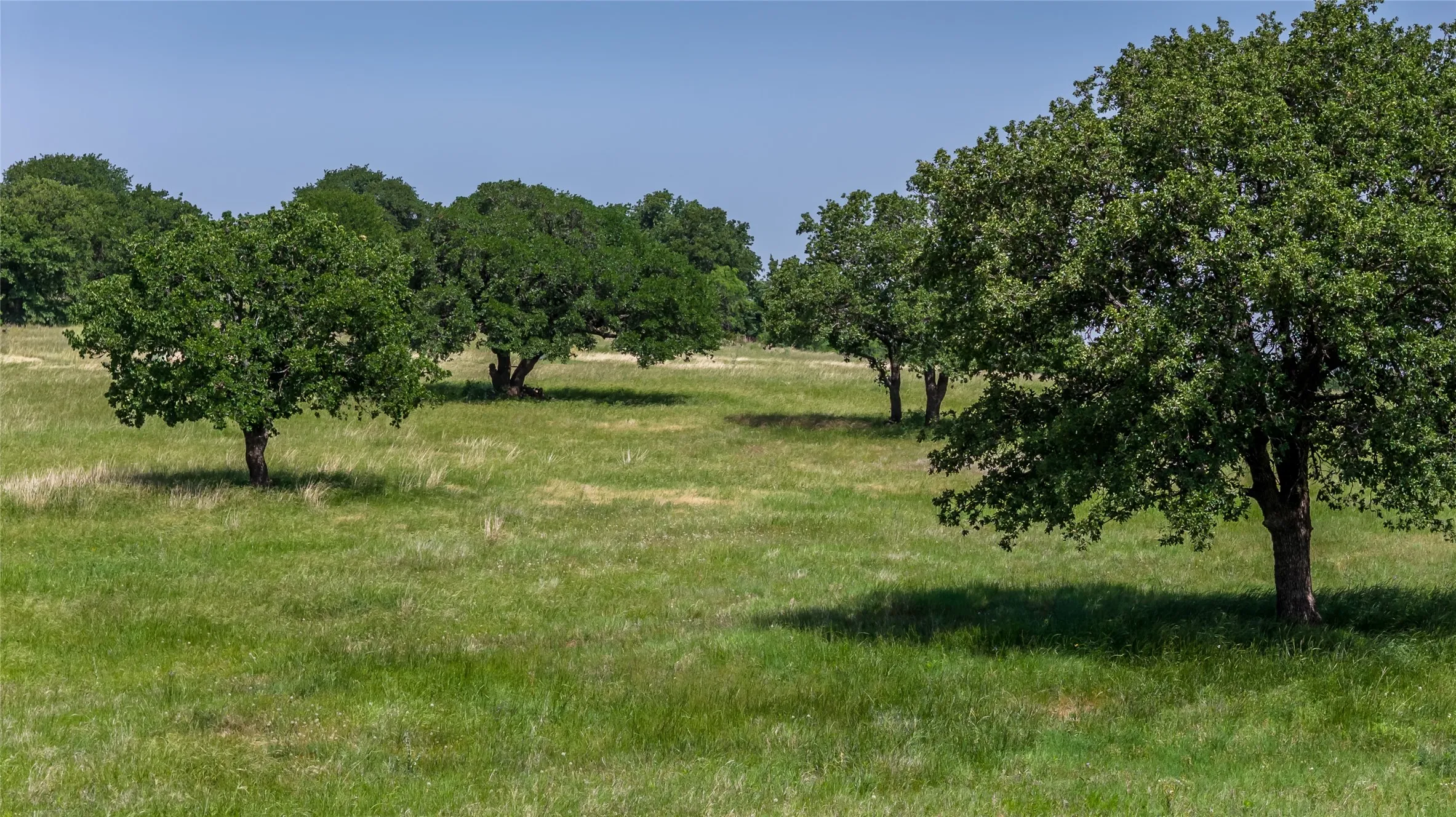 Unimproved Land For Sale in Erath County , 2112 County Road 126, Gordon, Texas 76453, 0, 0, Garage spaces, 0 Sqft, built in 0, Price $700,000, mls#21302141, Real Estate Agent in Gordon, Homes For Sale in Erath county, Homes For Sale in Gordon, Realtor in Gordon Texas, Real Estate Brokerage Independent Realty Texas, Luminita Cordes Realtor