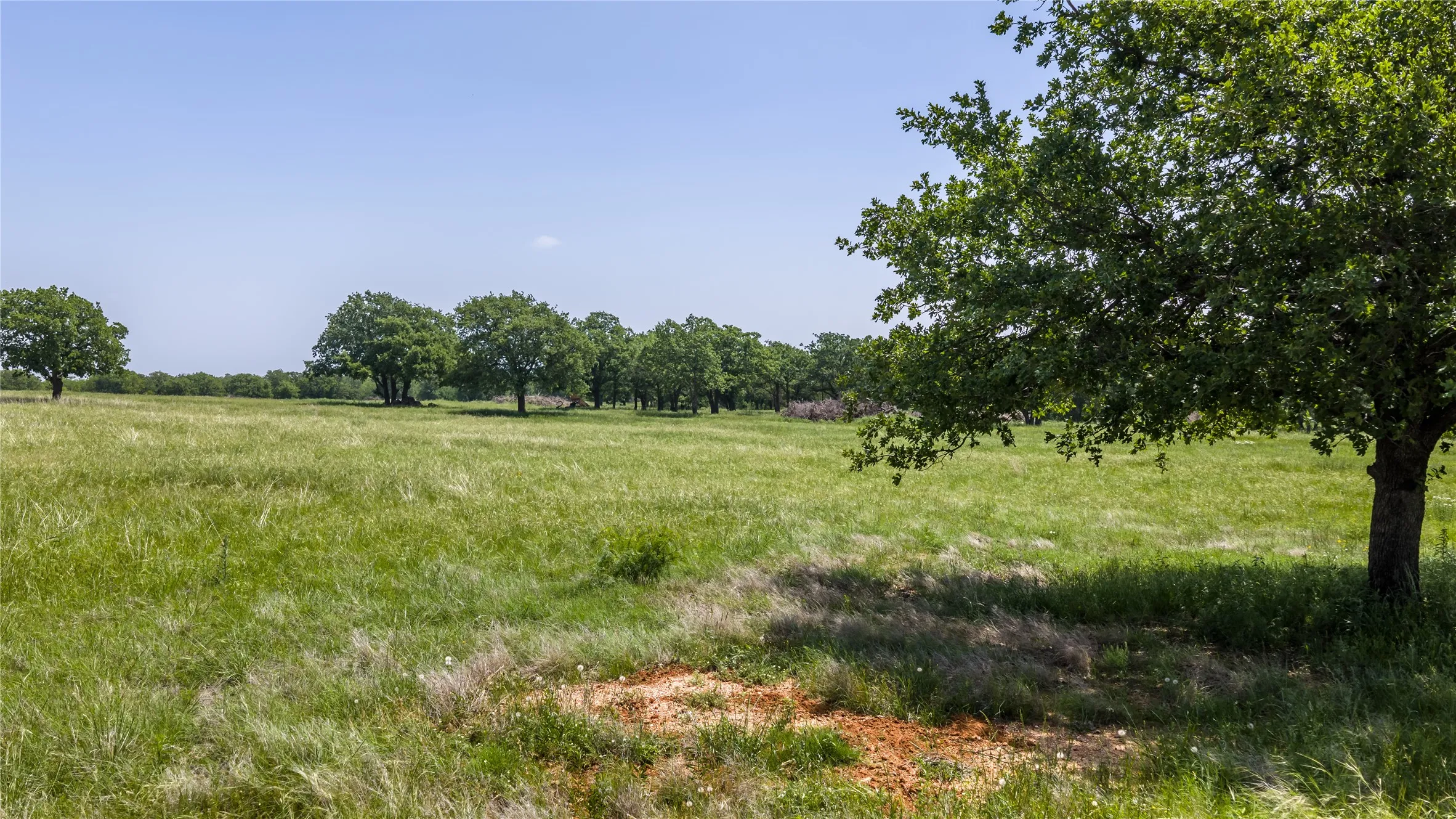 Unimproved Land For Sale in Erath County , 2112 County Road 126, Gordon, Texas 76453, 0, 0, Garage spaces, 0 Sqft, built in 0, Price $700,000, mls#21302141, Real Estate Agent in Gordon, Homes For Sale in Erath county, Homes For Sale in Gordon, Realtor in Gordon Texas, Real Estate Brokerage Independent Realty Texas, Luminita Cordes Realtor