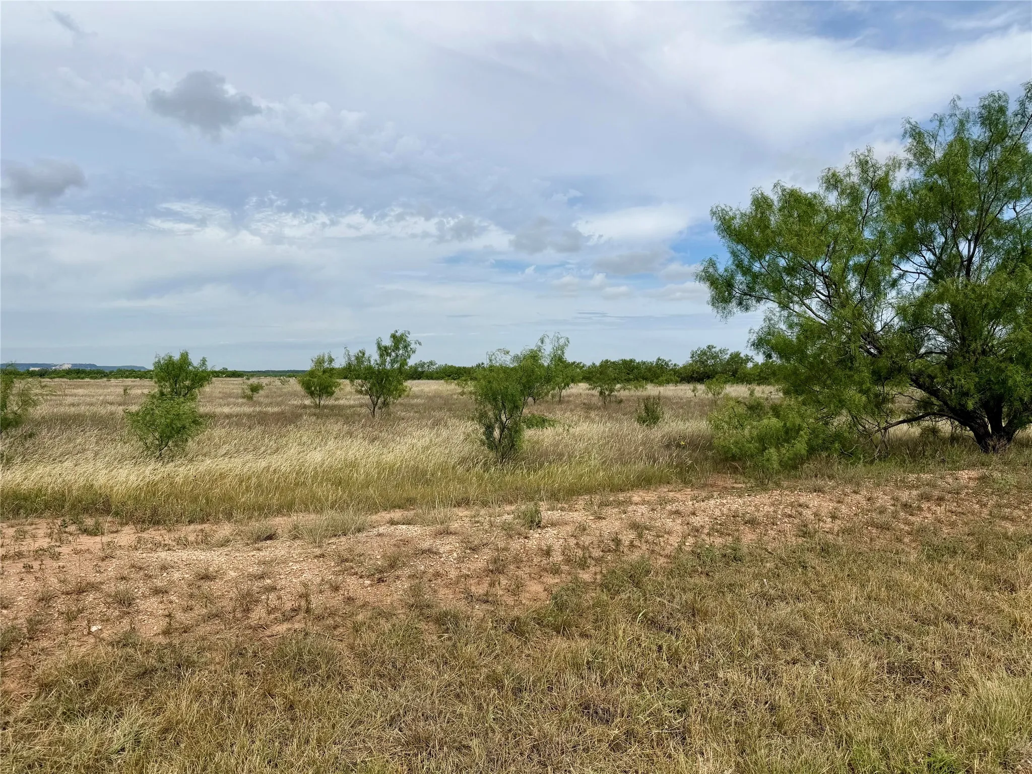 Unimproved Land For Sale in Taylor County , TBD CR 319, Abilene, Texas 79606, 0, 0, Garage spaces, 0 Sqft, built in 0, Price $588,960, mls#21290784, Real Estate Agent in Abilene, Homes For Sale in Taylor county, Homes For Sale in Abilene, Realtor in Abilene Texas, Real Estate Brokerage Independent Realty Texas, Luminita Cordes Realtor