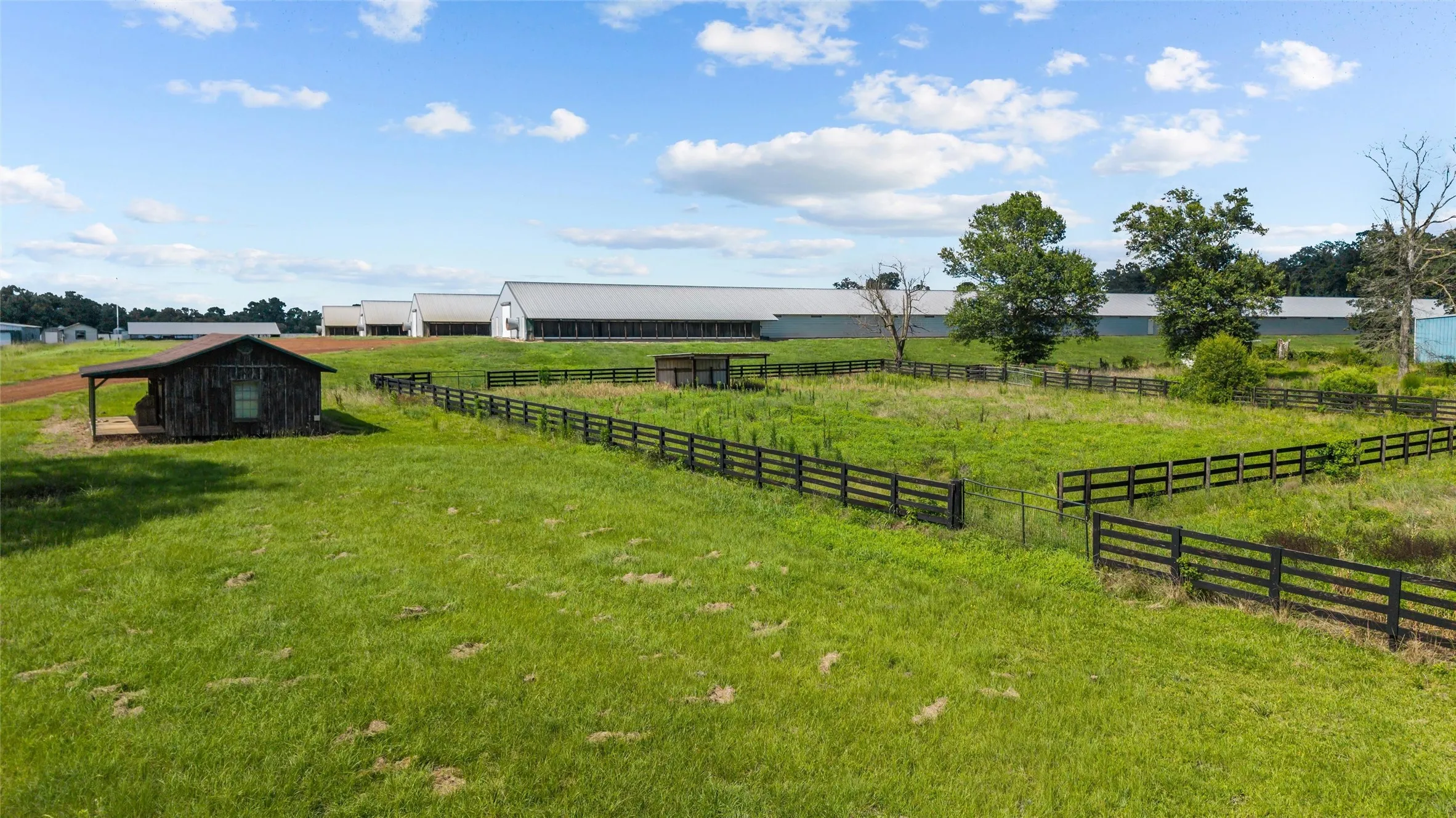 Expansive green fields with perimeter fencing