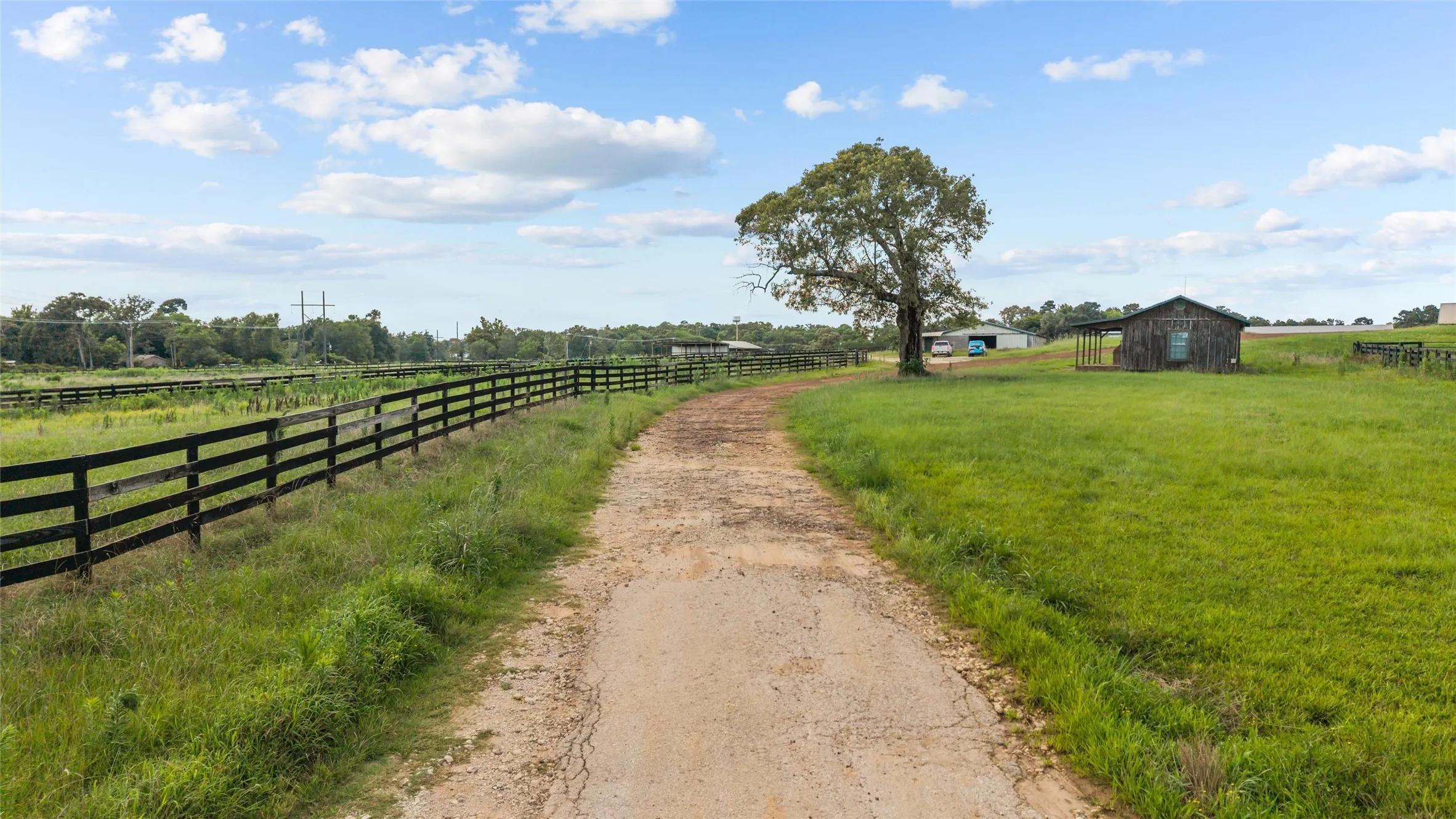 Gravel driveway leading through expansive green pastures