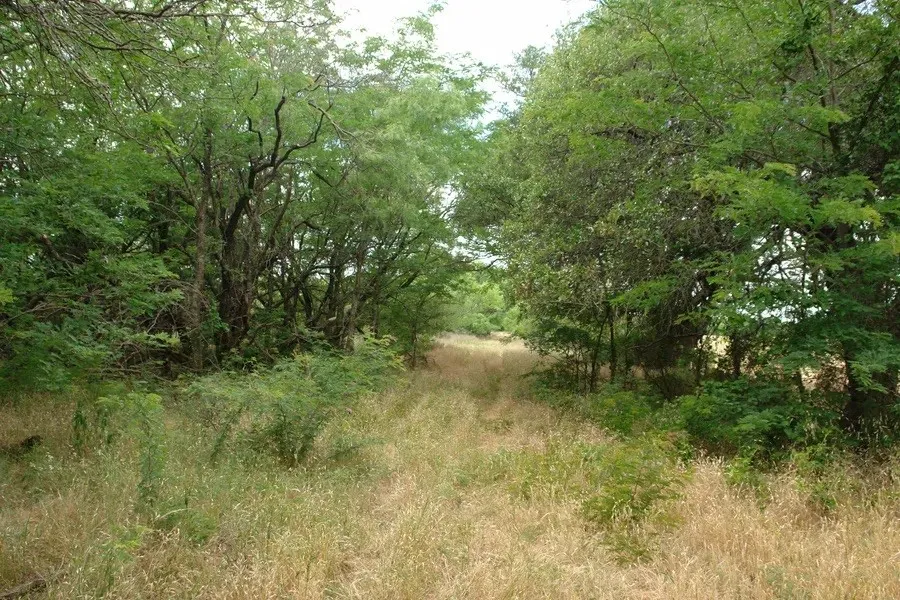 Improved Land For Sale in Comanche County , 1688 Highway 573, Comanche, Texas 76442, 0, 0, Garage spaces, 0 Sqft, built in 2019, mls#21302174, Real Estate Agent in Comanche, Homes For Sale in Comanche county, Homes For Sale in Comanche, Realtor in Comanche Texas, Real Estate Brokerage Independent Realty Texas, Luminita Cordes Realtor