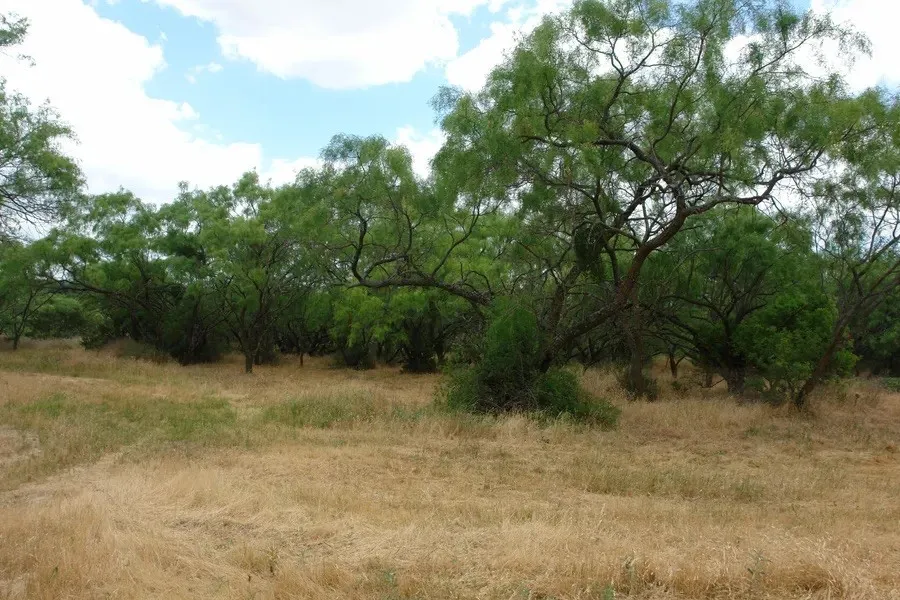 Improved Land For Sale in Comanche County , 1688 Highway 573, Comanche, Texas 76442, 0, 0, Garage spaces, 0 Sqft, built in 2019, mls#21302174, Real Estate Agent in Comanche, Homes For Sale in Comanche county, Homes For Sale in Comanche, Realtor in Comanche Texas, Real Estate Brokerage Independent Realty Texas, Luminita Cordes Realtor
