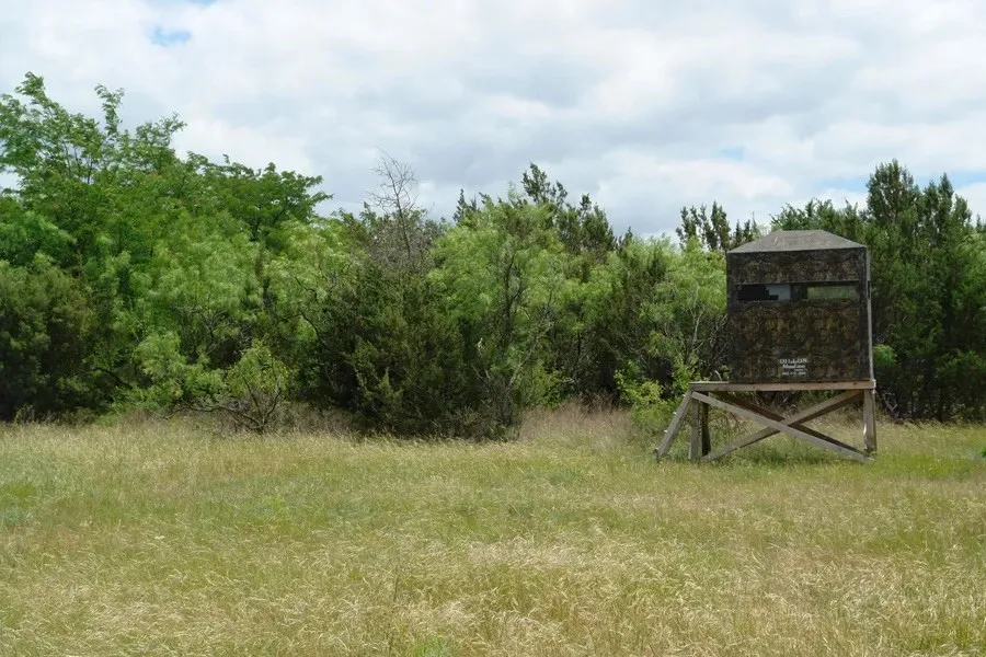 Improved Land For Sale in Comanche County , 1688 Highway 573, Comanche, Texas 76442, 0, 0, Garage spaces, 0 Sqft, built in 2019, mls#21302174, Real Estate Agent in Comanche, Homes For Sale in Comanche county, Homes For Sale in Comanche, Realtor in Comanche Texas, Real Estate Brokerage Independent Realty Texas, Luminita Cordes Realtor