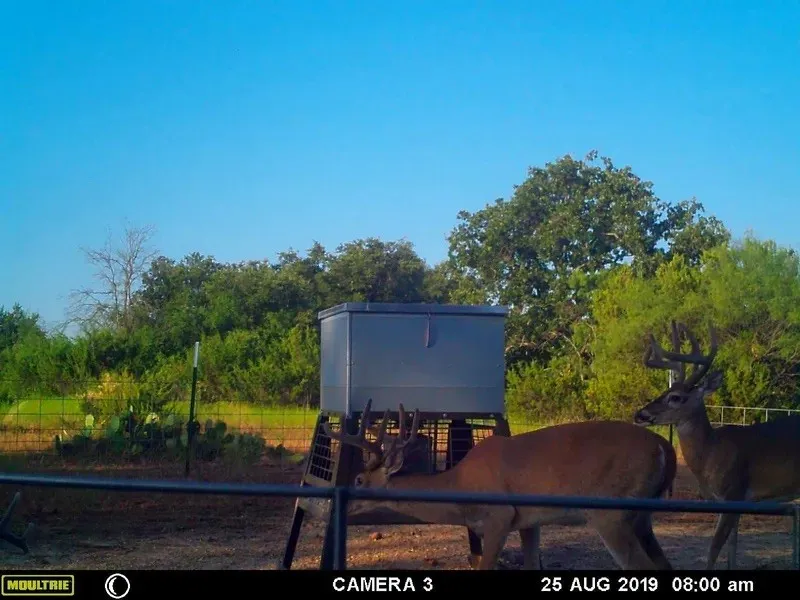 Improved Land For Sale in Comanche County , 1688 Highway 573, Comanche, Texas 76442, 0, 0, Garage spaces, 0 Sqft, built in 2019, mls#21302174, Real Estate Agent in Comanche, Homes For Sale in Comanche county, Homes For Sale in Comanche, Realtor in Comanche Texas, Real Estate Brokerage Independent Realty Texas, Luminita Cordes Realtor