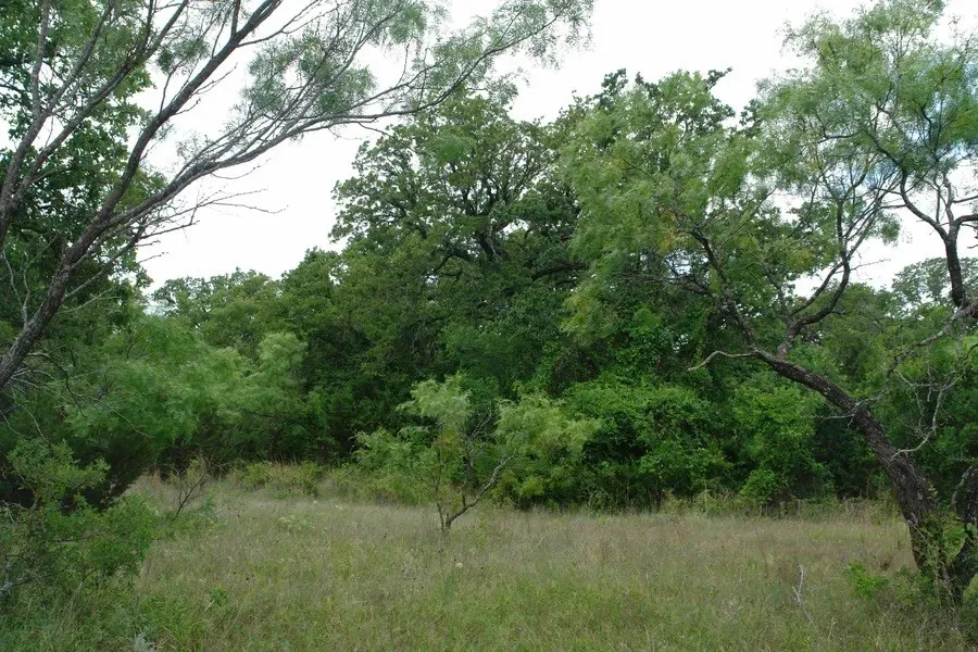 Improved Land For Sale in Comanche County , 1688 Highway 573, Comanche, Texas 76442, 0, 0, Garage spaces, 0 Sqft, built in 2019, mls#21302174, Real Estate Agent in Comanche, Homes For Sale in Comanche county, Homes For Sale in Comanche, Realtor in Comanche Texas, Real Estate Brokerage Independent Realty Texas, Luminita Cordes Realtor