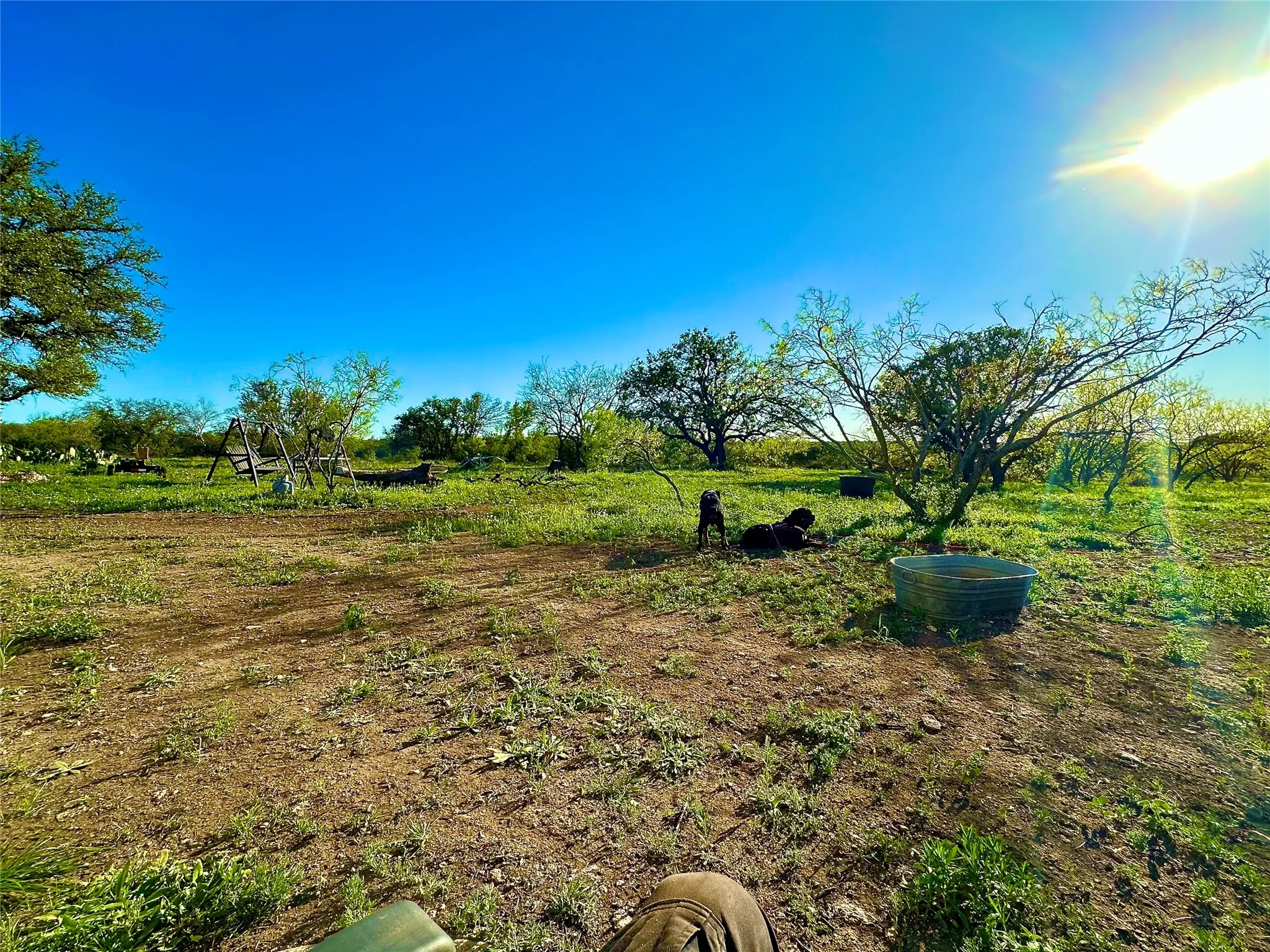Ranch For Sale in Mc Culloch County , 401 Fallow Spur, Melvin, Texas 76858, 0, 0, Garage spaces, 0 Sqft, built in 0, mls#21290117, Real Estate Agent in Melvin, Homes For Sale in Mc Culloch county, Homes For Sale in Melvin, Realtor in Melvin Texas, Real Estate Brokerage Independent Realty Texas, Luminita Cordes Realtor