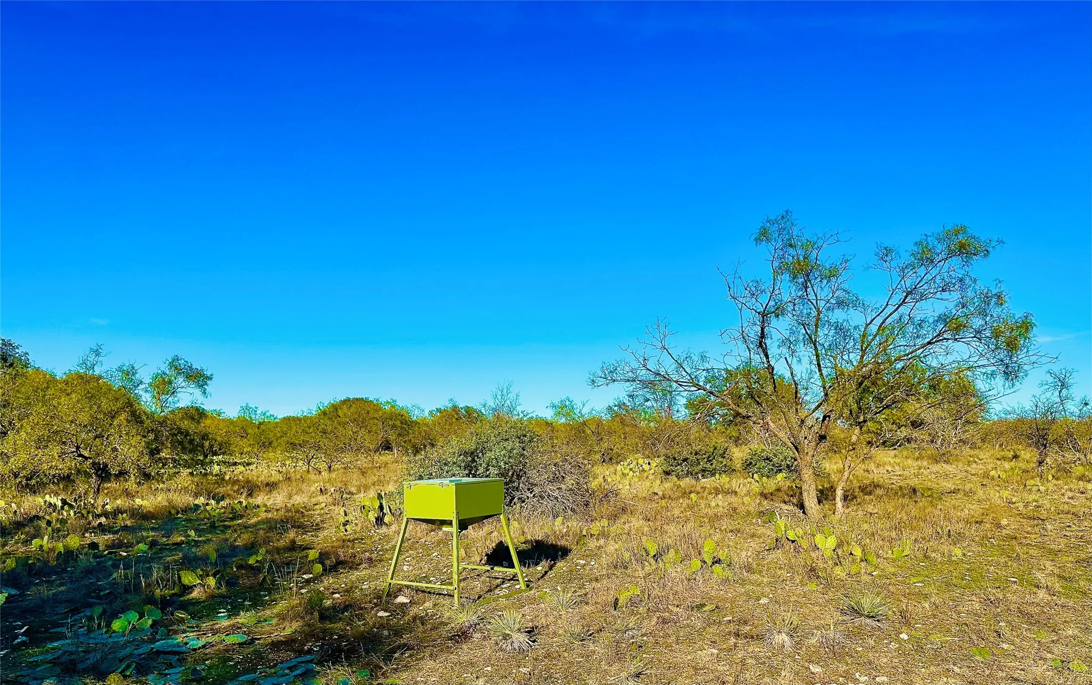 Ranch For Sale in Mc Culloch County , 401 Fallow Spur, Melvin, Texas 76858, 0, 0, Garage spaces, 0 Sqft, built in 0, mls#21290117, Real Estate Agent in Melvin, Homes For Sale in Mc Culloch county, Homes For Sale in Melvin, Realtor in Melvin Texas, Real Estate Brokerage Independent Realty Texas, Luminita Cordes Realtor