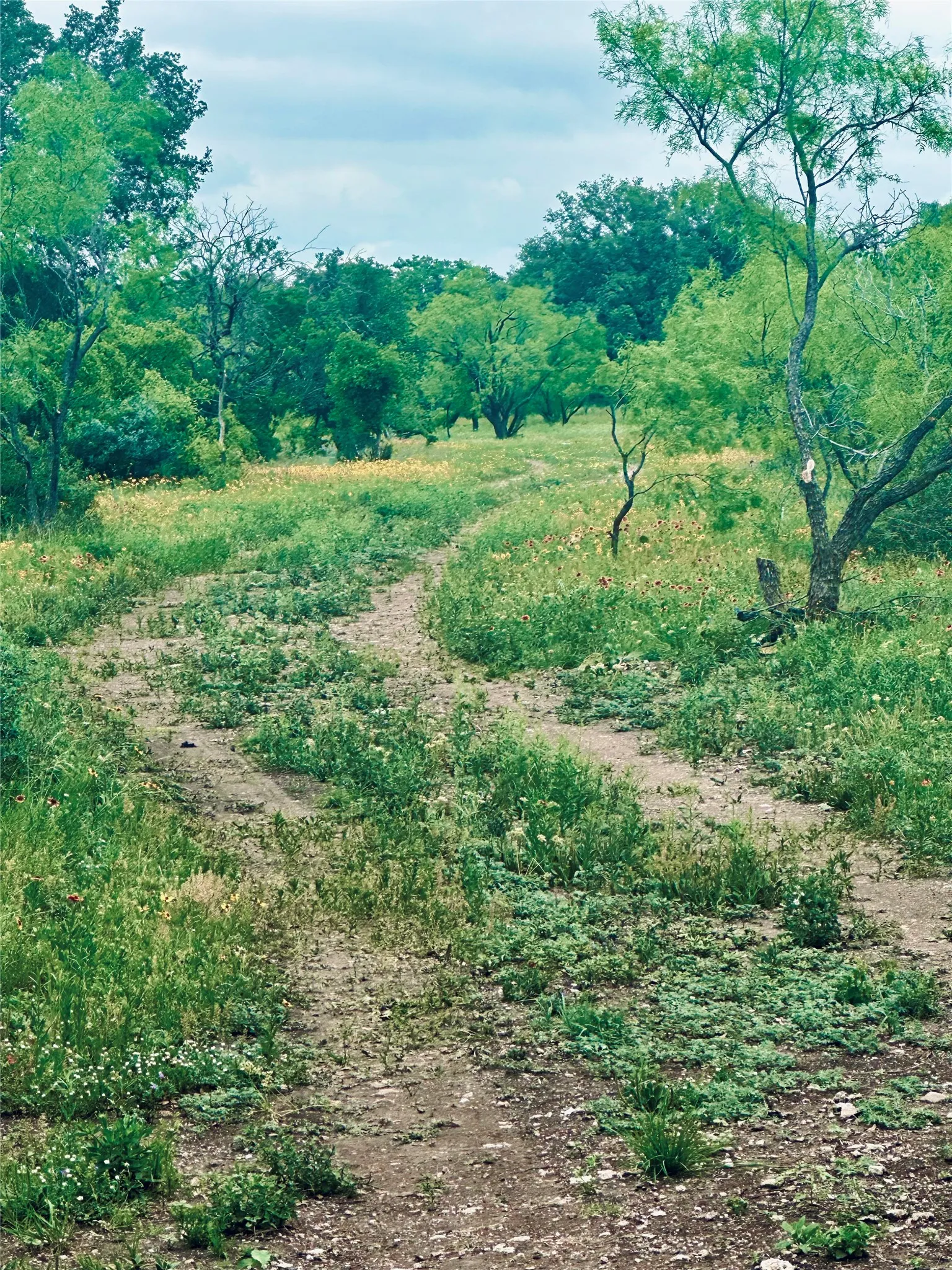 Ranch For Sale in Mc Culloch County , 401 Fallow Spur, Melvin, Texas 76858, 0, 0, Garage spaces, 0 Sqft, built in 0, mls#21290117, Real Estate Agent in Melvin, Homes For Sale in Mc Culloch county, Homes For Sale in Melvin, Realtor in Melvin Texas, Real Estate Brokerage Independent Realty Texas, Luminita Cordes Realtor