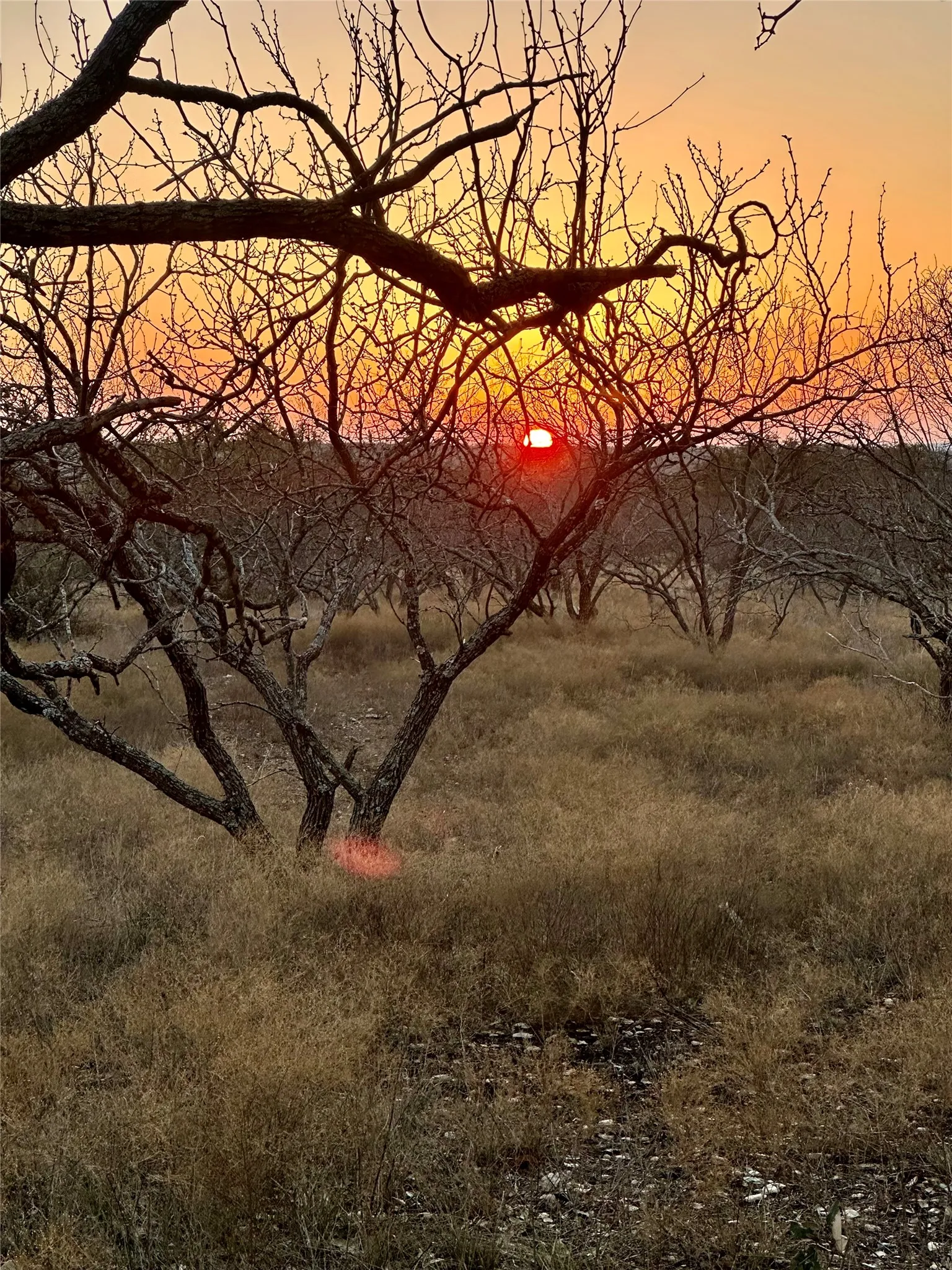 Ranch For Sale in Mc Culloch County , 401 Fallow Spur, Melvin, Texas 76858, 0, 0, Garage spaces, 0 Sqft, built in 0, mls#21290117, Real Estate Agent in Melvin, Homes For Sale in Mc Culloch county, Homes For Sale in Melvin, Realtor in Melvin Texas, Real Estate Brokerage Independent Realty Texas, Luminita Cordes Realtor