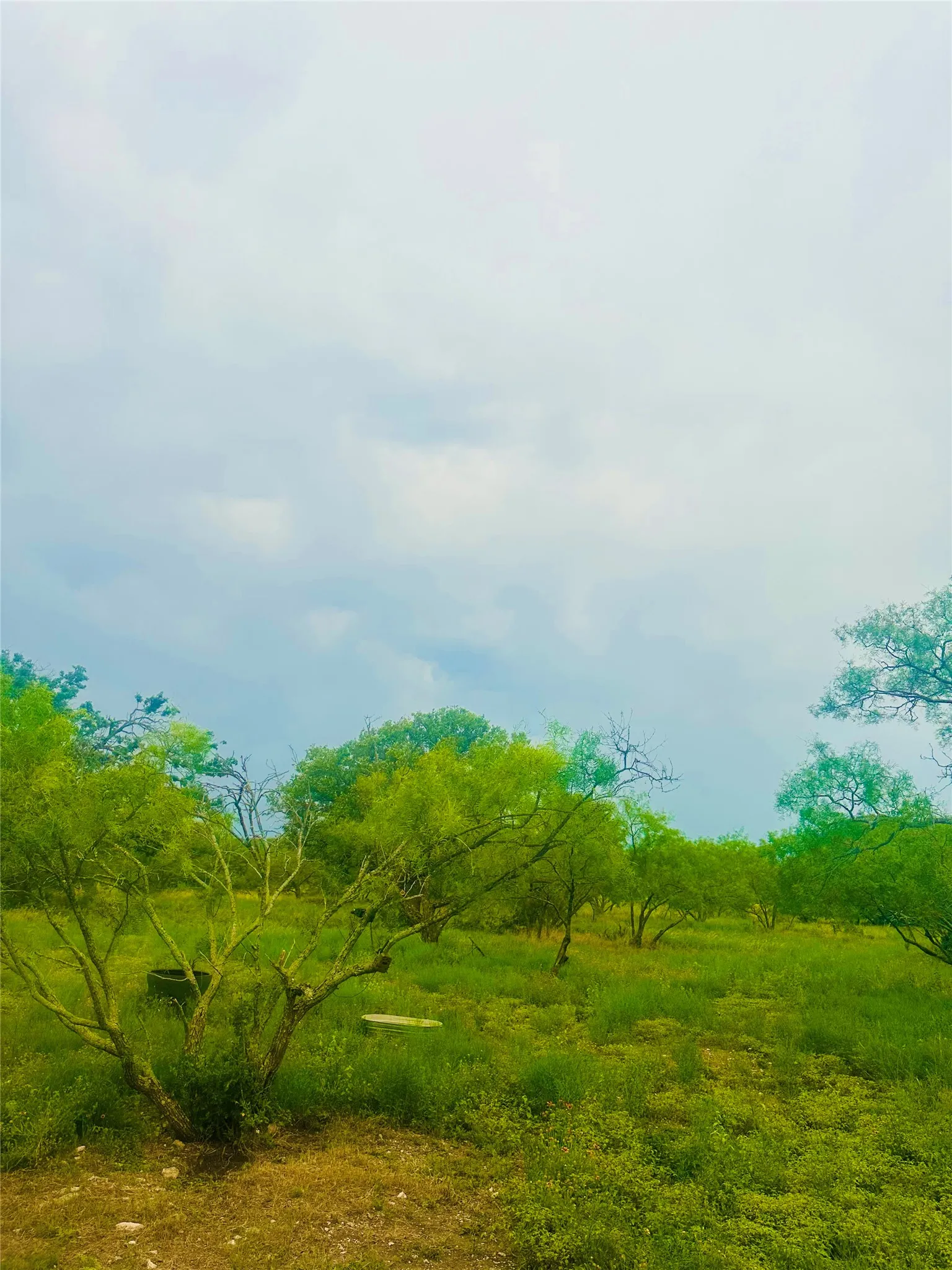 Ranch For Sale in Mc Culloch County , 401 Fallow Spur, Melvin, Texas 76858, 0, 0, Garage spaces, 0 Sqft, built in 0, mls#21290117, Real Estate Agent in Melvin, Homes For Sale in Mc Culloch county, Homes For Sale in Melvin, Realtor in Melvin Texas, Real Estate Brokerage Independent Realty Texas, Luminita Cordes Realtor
