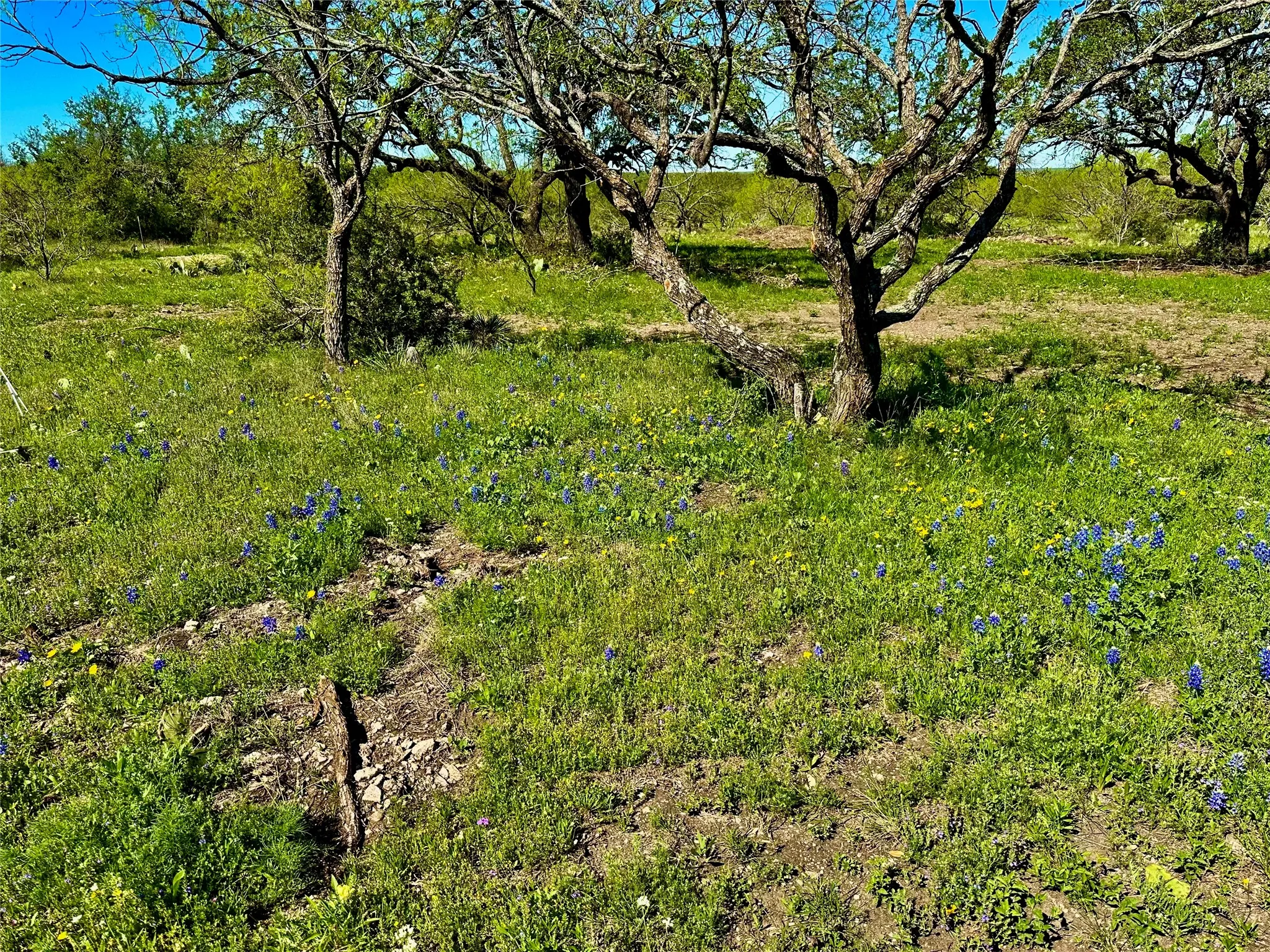Ranch For Sale in Mc Culloch County , 401 Fallow Spur, Melvin, Texas 76858, 0, 0, Garage spaces, 0 Sqft, built in 0, mls#21290117, Real Estate Agent in Melvin, Homes For Sale in Mc Culloch county, Homes For Sale in Melvin, Realtor in Melvin Texas, Real Estate Brokerage Independent Realty Texas, Luminita Cordes Realtor