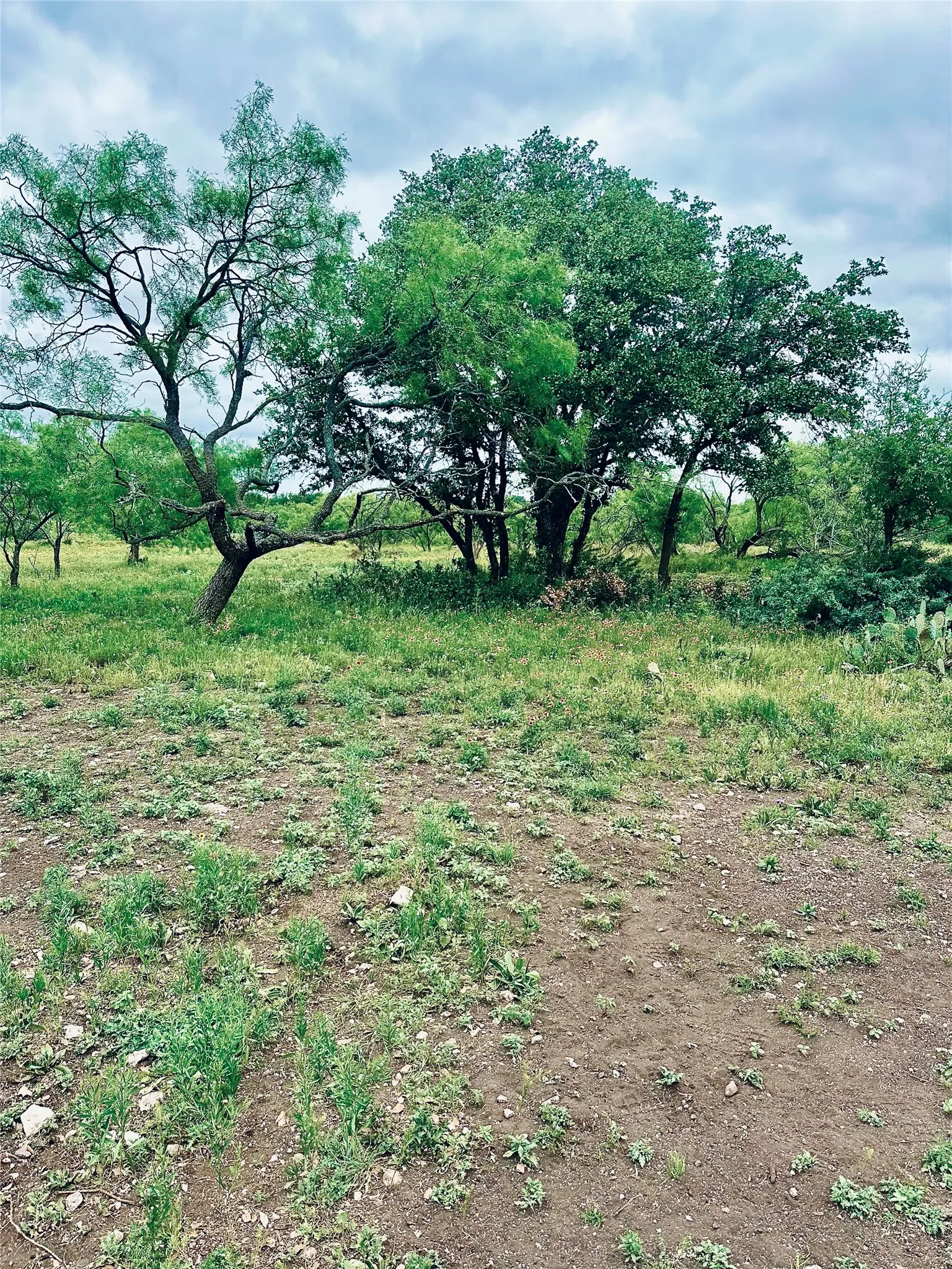 Ranch For Sale in Mc Culloch County , 401 Fallow Spur, Melvin, Texas 76858, 0, 0, Garage spaces, 0 Sqft, built in 0, mls#21290117, Real Estate Agent in Melvin, Homes For Sale in Mc Culloch county, Homes For Sale in Melvin, Realtor in Melvin Texas, Real Estate Brokerage Independent Realty Texas, Luminita Cordes Realtor