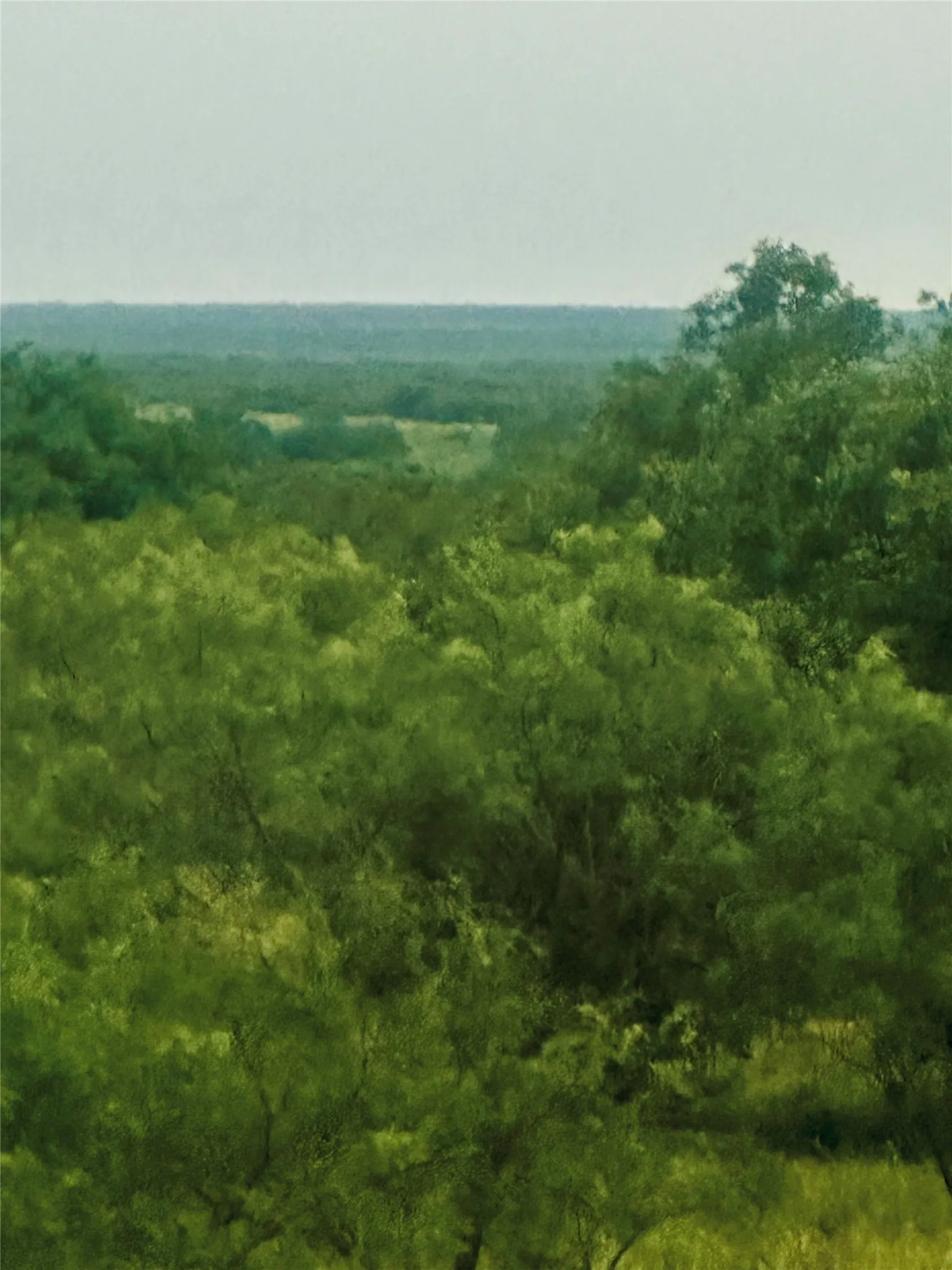 Ranch For Sale in Mc Culloch County , 401 Fallow Spur, Melvin, Texas 76858, 0, 0, Garage spaces, 0 Sqft, built in 0, mls#21290117, Real Estate Agent in Melvin, Homes For Sale in Mc Culloch county, Homes For Sale in Melvin, Realtor in Melvin Texas, Real Estate Brokerage Independent Realty Texas, Luminita Cordes Realtor