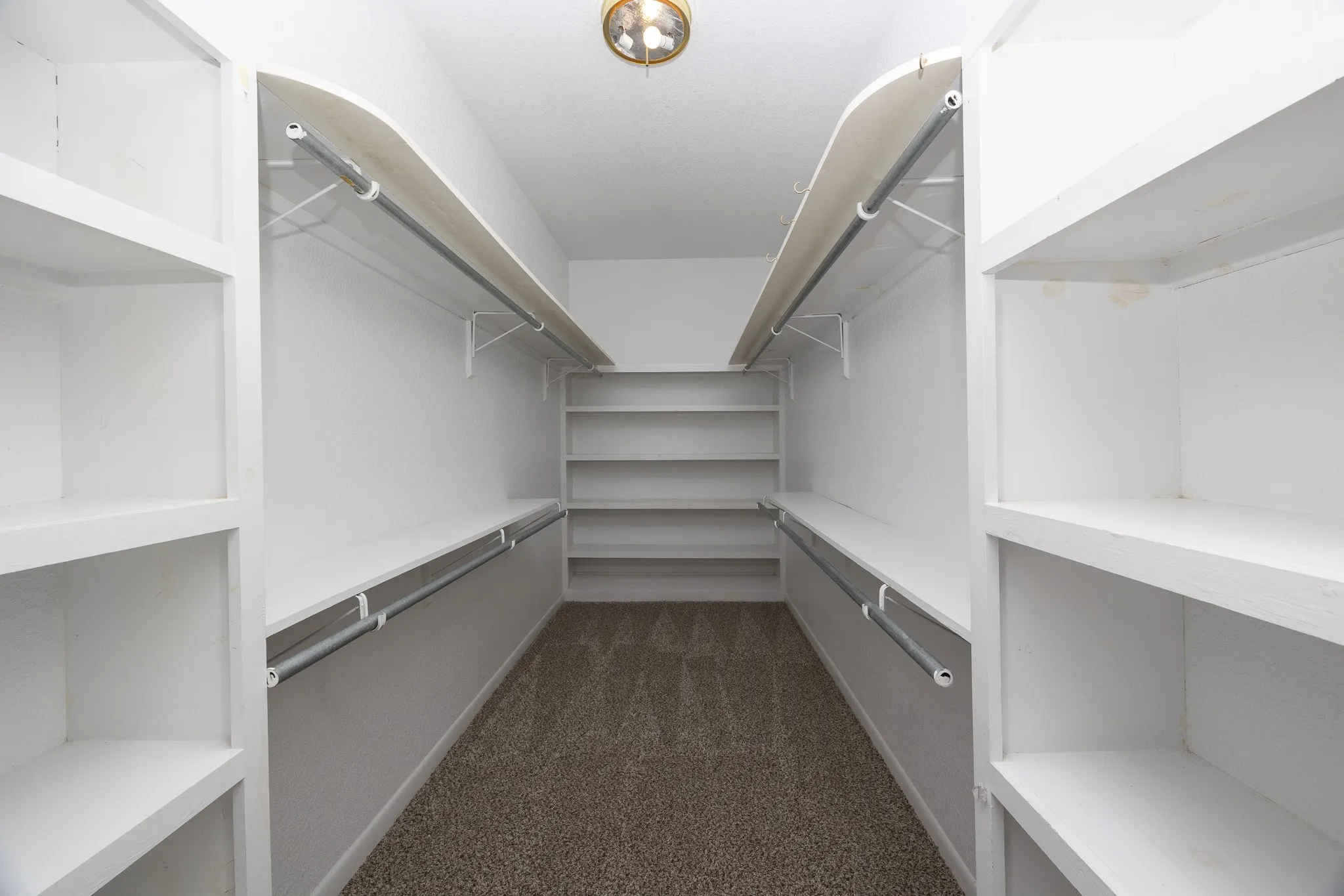 Walk-in closet featuring built-in shelving, hanging rods, and carpet flooring