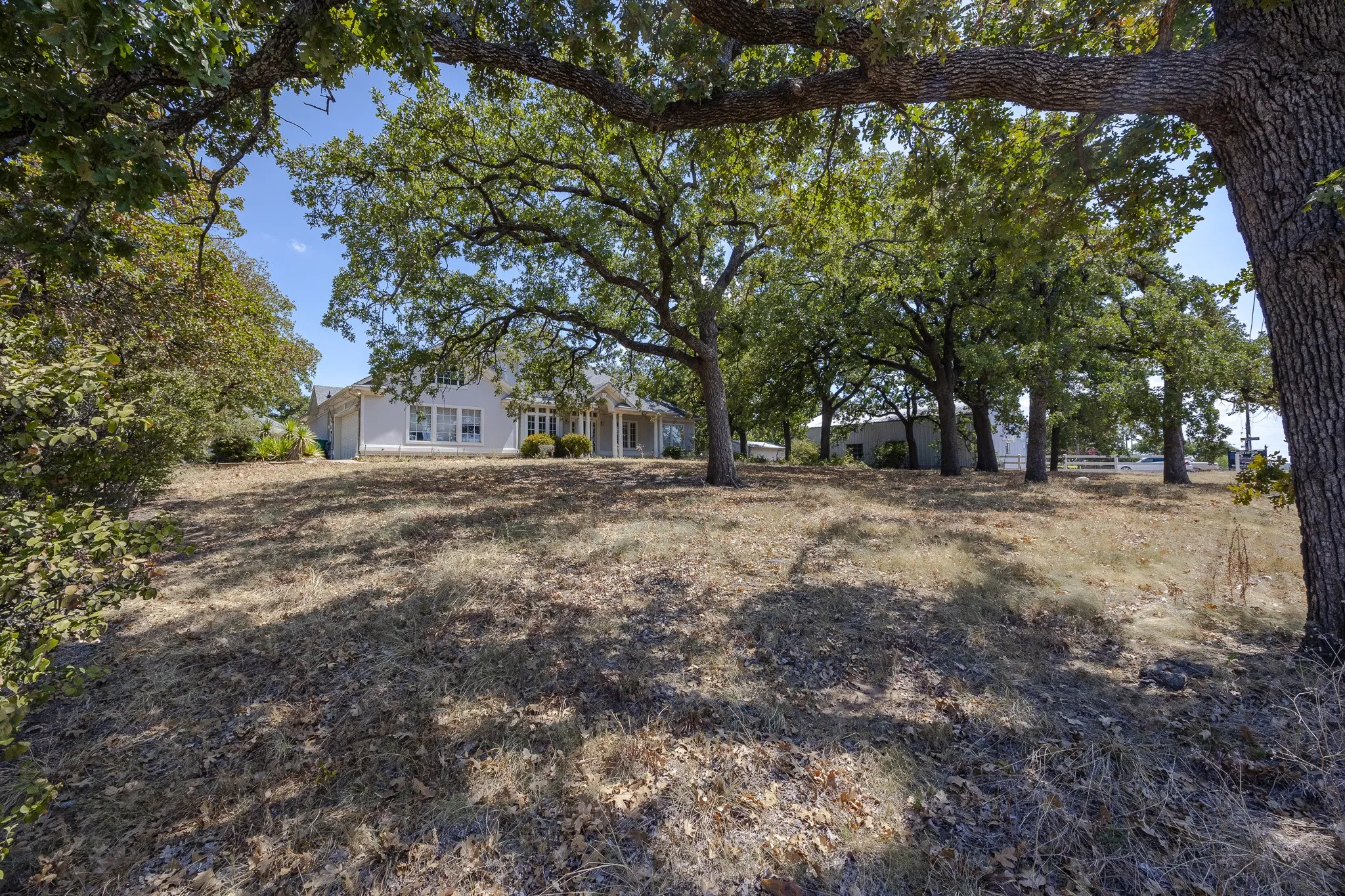 Expansive lot featuring mature trees and a white-sided residence with multiple windows