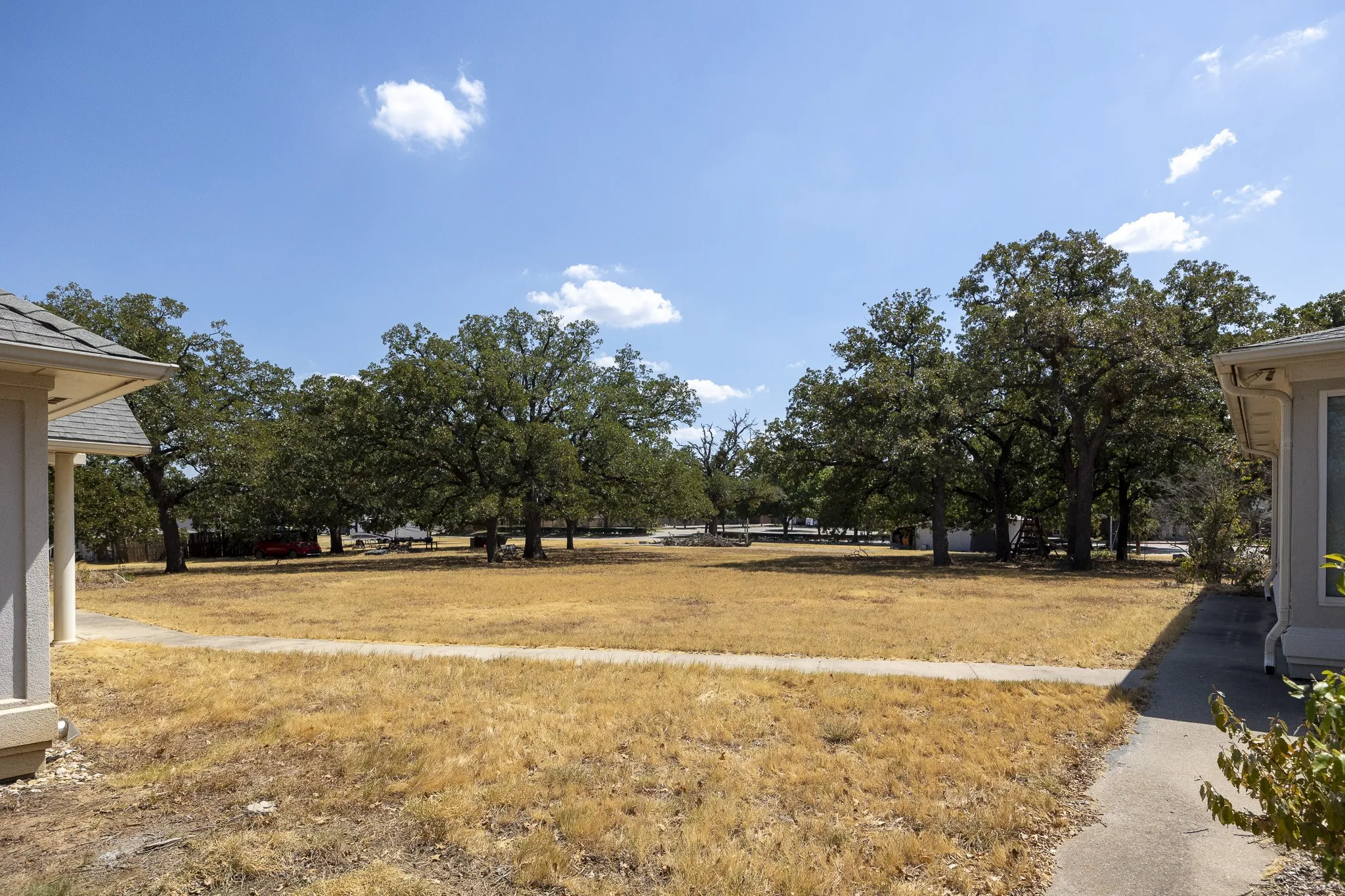 Expansive outdoor space featuring mature trees and a paved walkway