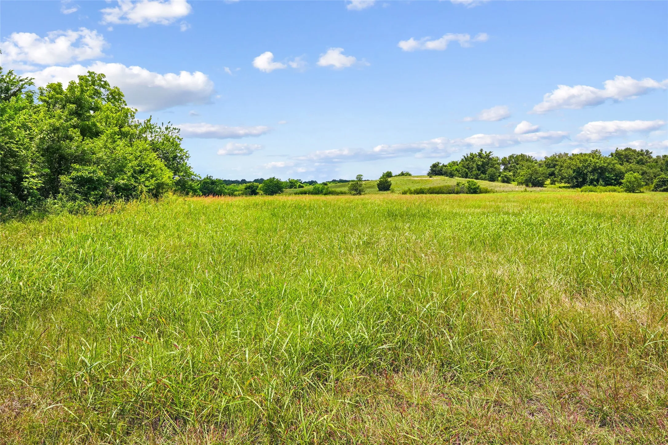 Unimproved Land For Sale in Montague County , TBD School House Road, Forestburg, Texas 76239, 0, 0, Garage spaces, 0 Sqft, built in 0, mls#21276215, Real Estate Agent in Forestburg, Homes For Sale in Montague county, Homes For Sale in Forestburg, Realtor in Forestburg Texas, Real Estate Brokerage Independent Realty Texas, Luminita Cordes Realtor