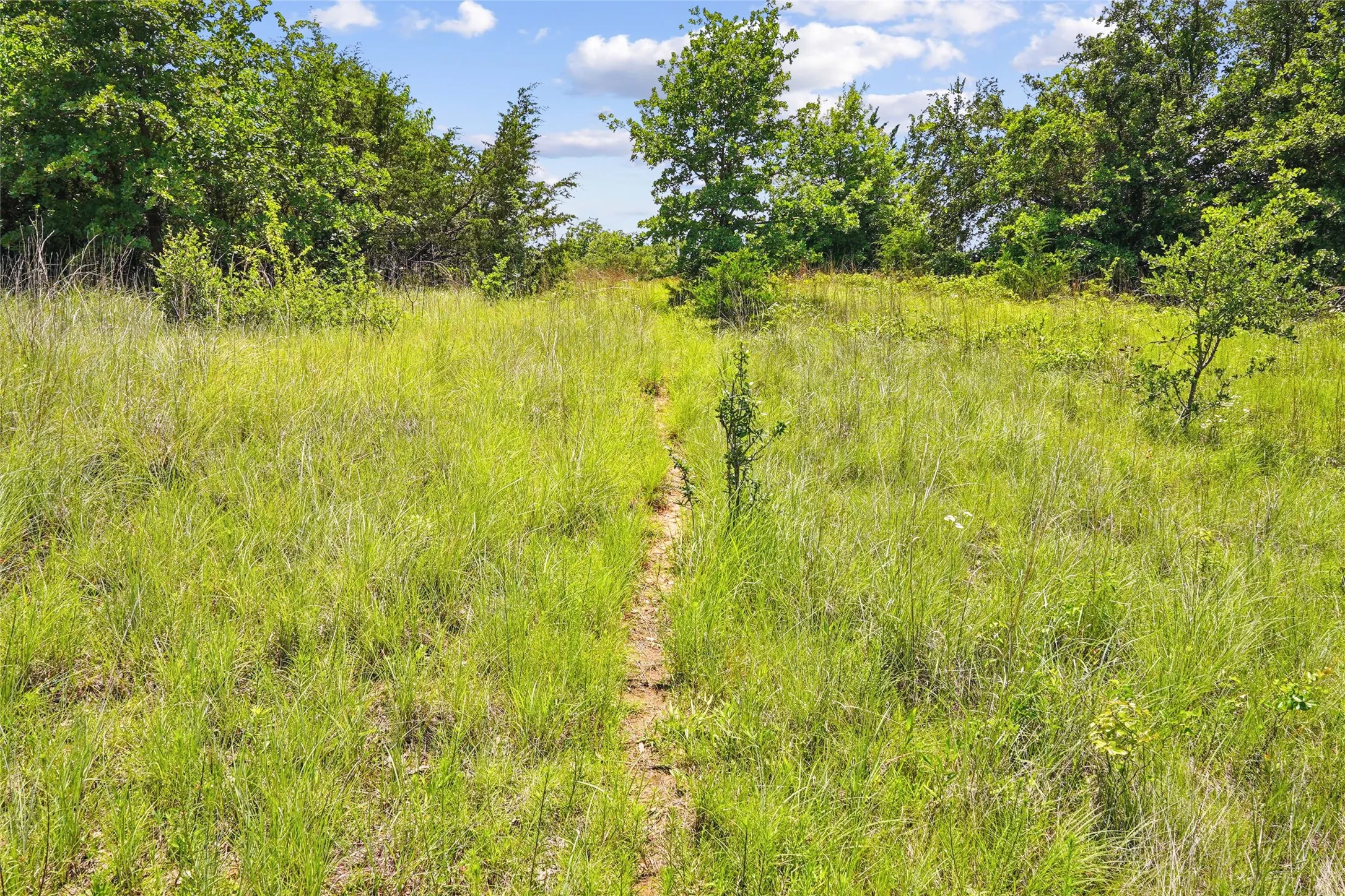 Unimproved Land For Sale in Montague County , TBD School House Road, Forestburg, Texas 76239, 0, 0, Garage spaces, 0 Sqft, built in 0, mls#21276215, Real Estate Agent in Forestburg, Homes For Sale in Montague county, Homes For Sale in Forestburg, Realtor in Forestburg Texas, Real Estate Brokerage Independent Realty Texas, Luminita Cordes Realtor