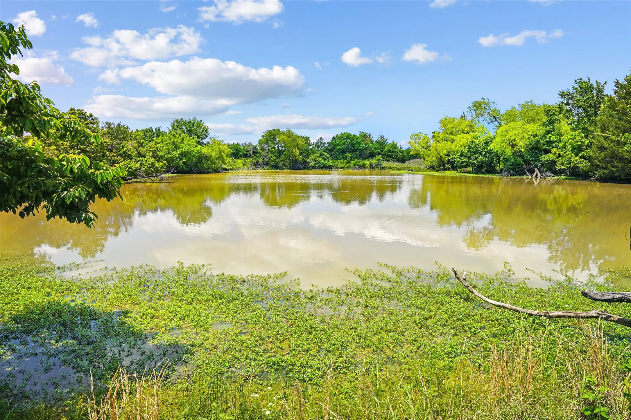 Unimproved Land For Sale in Montague County , TBD School House Road, Forestburg, Texas 76239, 0, 0, Garage spaces, 0 Sqft, built in 0, mls#21276215, Real Estate Agent in Forestburg, Homes For Sale in Montague county, Homes For Sale in Forestburg, Realtor in Forestburg Texas, Real Estate Brokerage Independent Realty Texas, Luminita Cordes Realtor