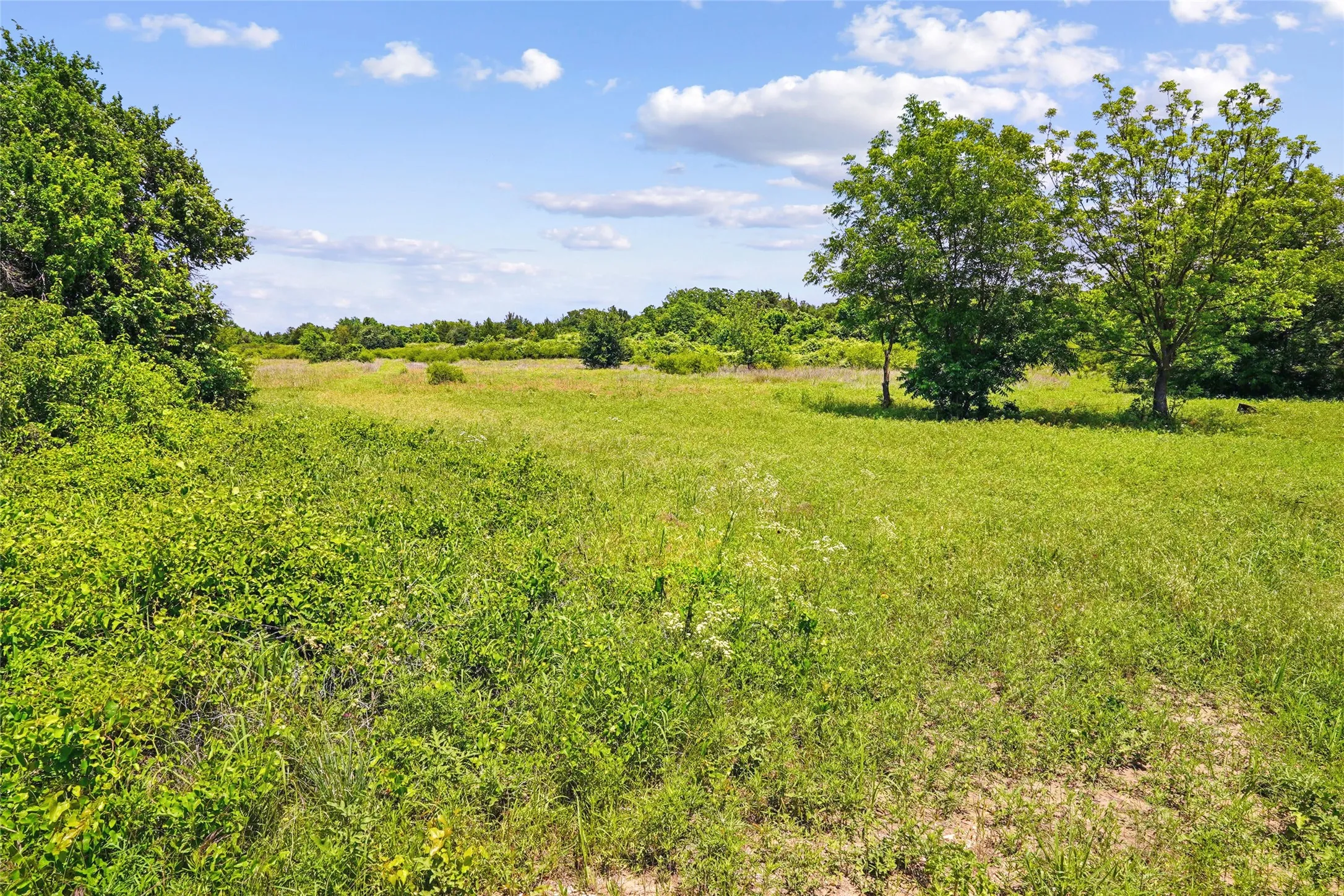 Unimproved Land For Sale in Montague County , TBD School House Road, Forestburg, Texas 76239, 0, 0, Garage spaces, 0 Sqft, built in 0, mls#21276215, Real Estate Agent in Forestburg, Homes For Sale in Montague county, Homes For Sale in Forestburg, Realtor in Forestburg Texas, Real Estate Brokerage Independent Realty Texas, Luminita Cordes Realtor